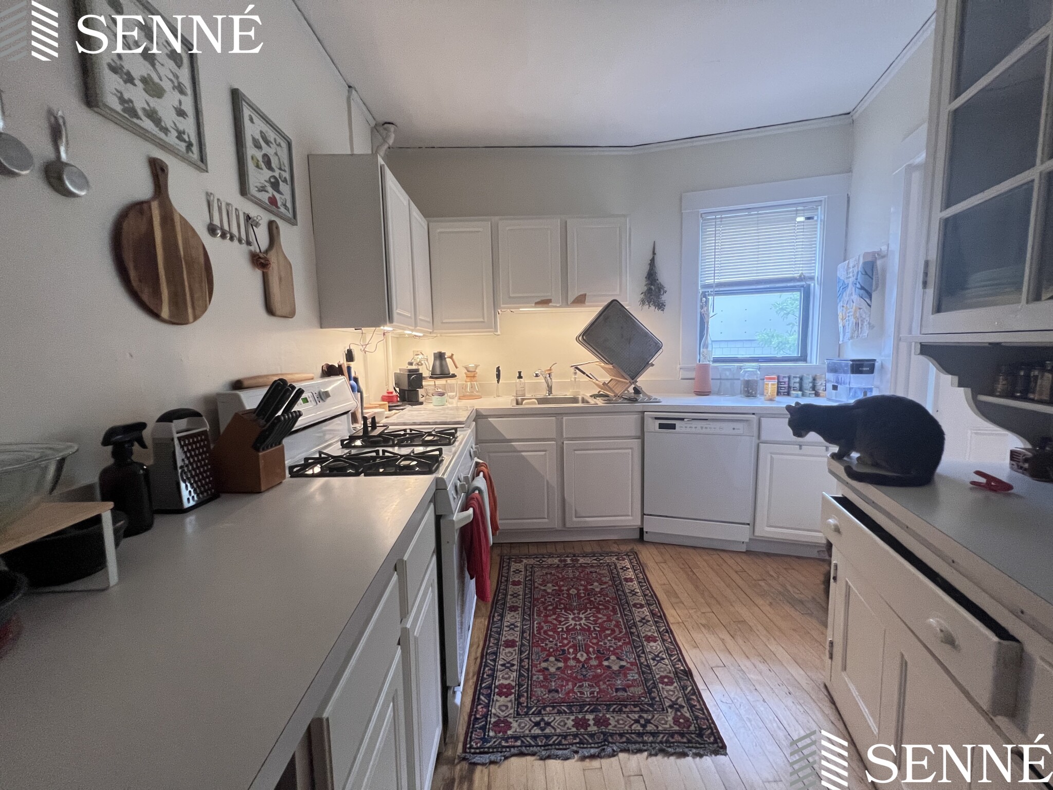 84 Prescott St, Mid Cambridge