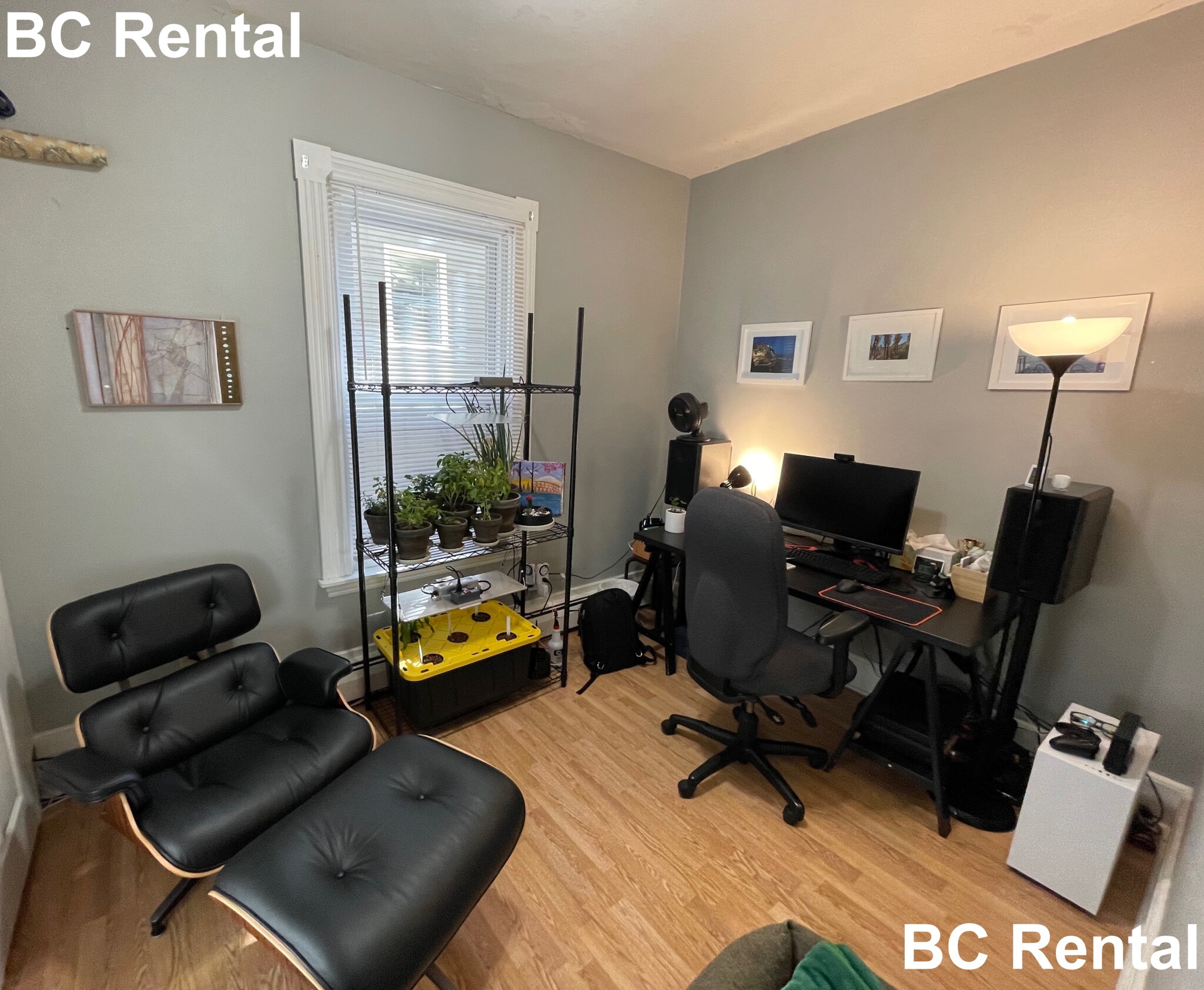 204 River St, Cambridgeport