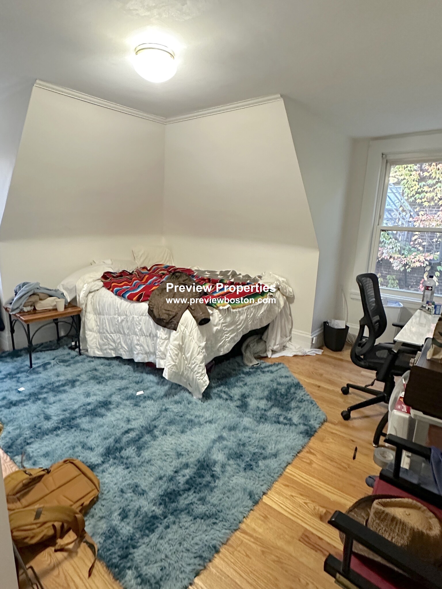 27 Orkney Rd, Brighton