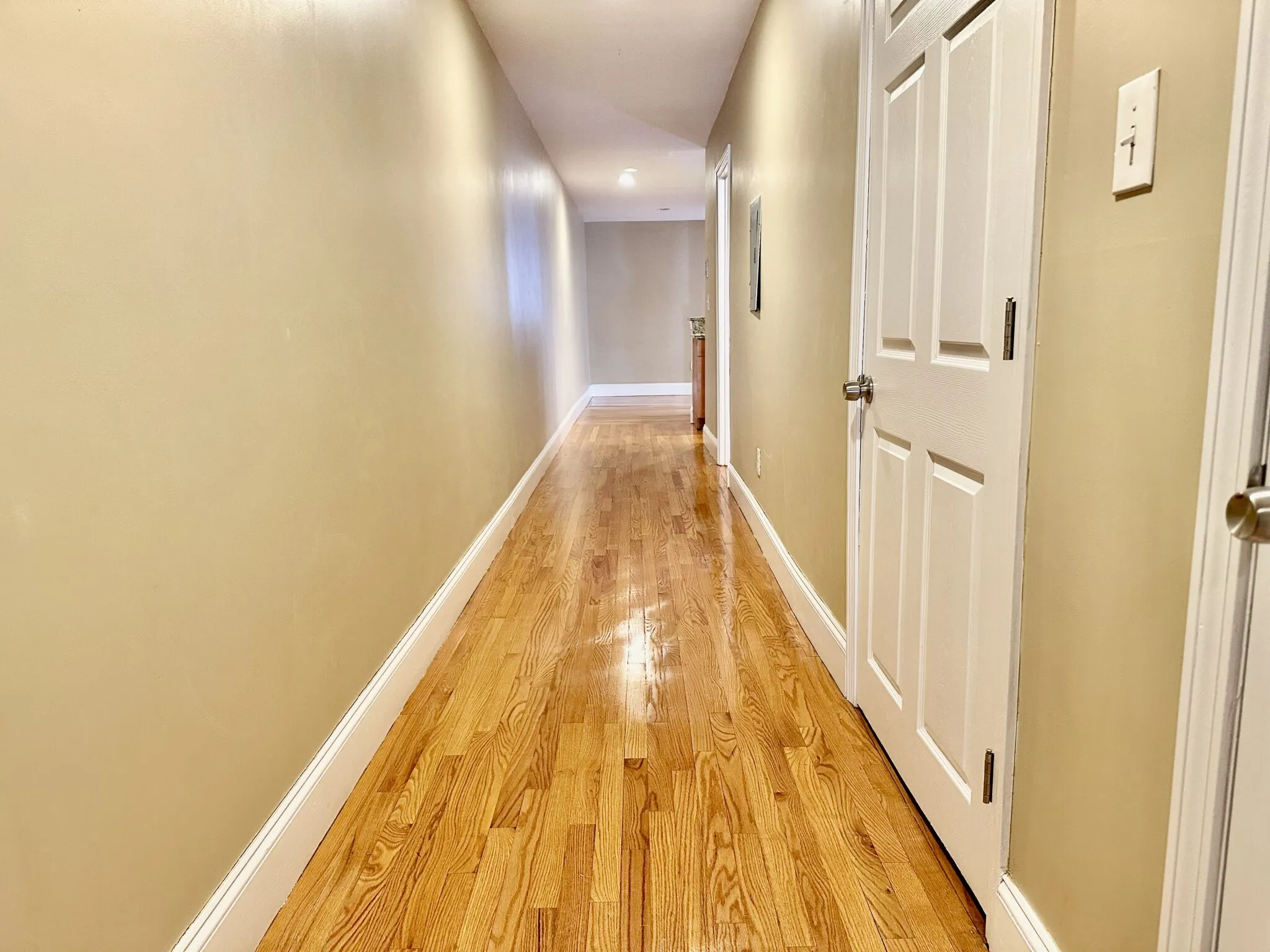 72 Egmont St, North Brookline