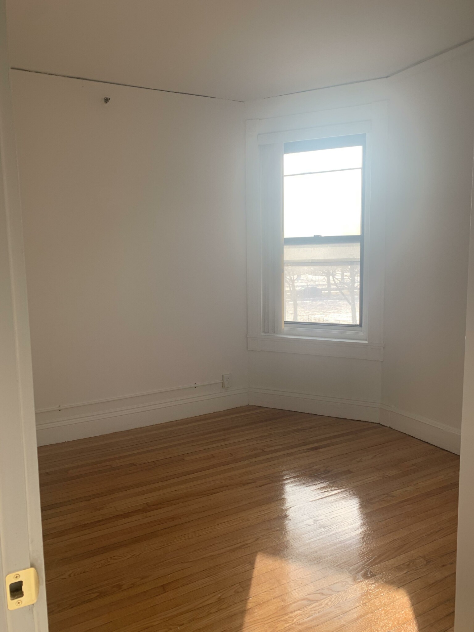 91 Westland Ave, Fenway