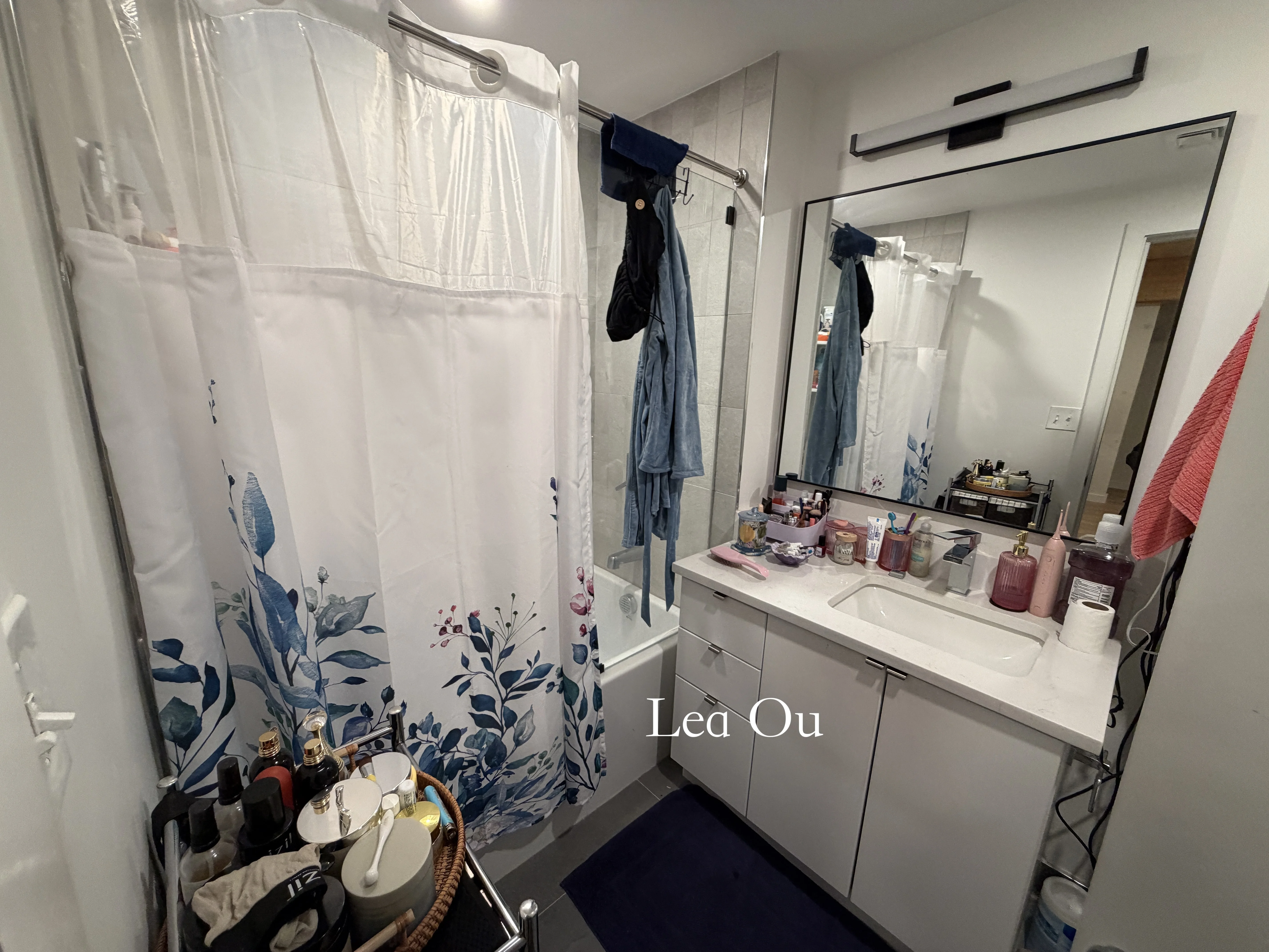 11 East Lenox St, Roxbury