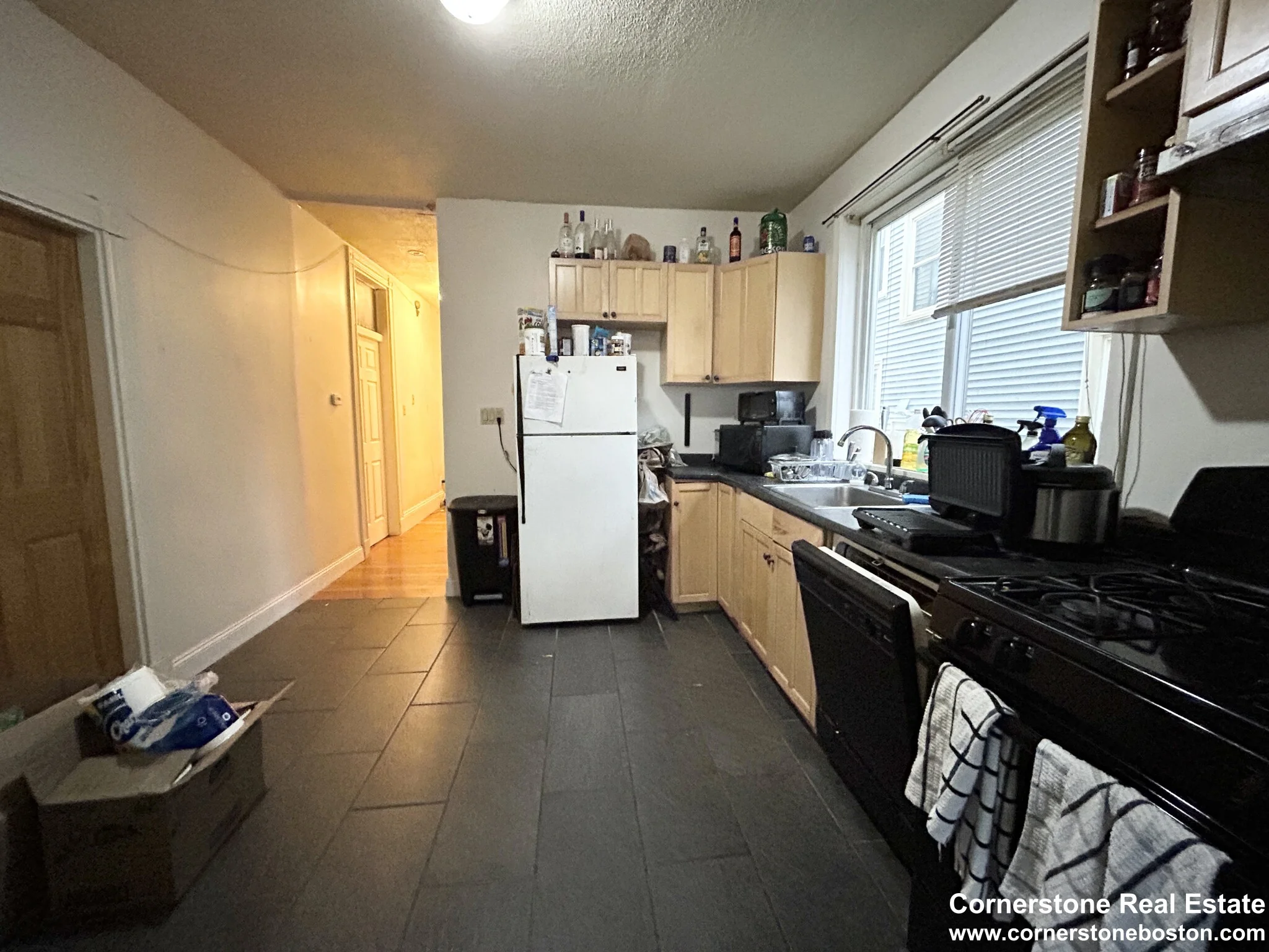 55 Hillside St, Mission Hill