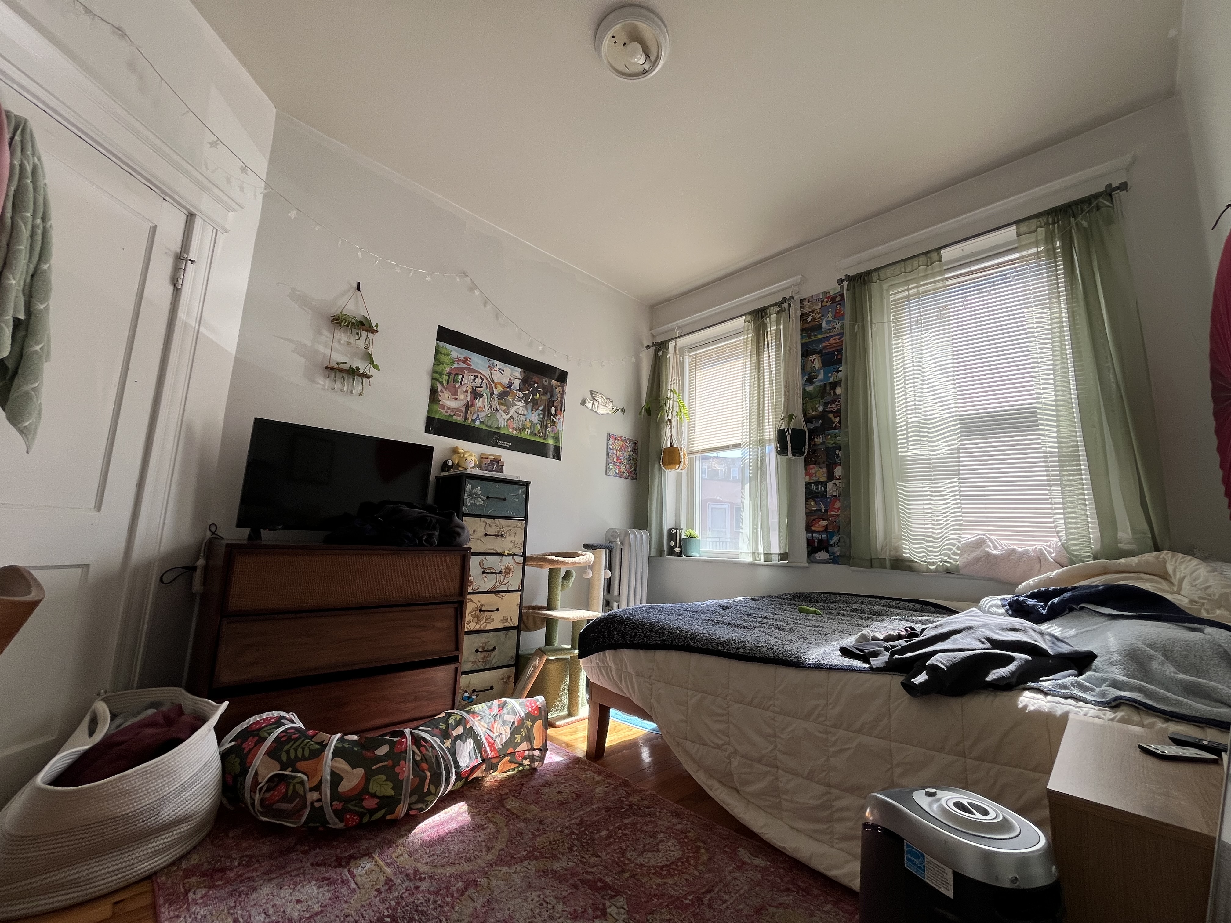 4 Price Rd, Brighton