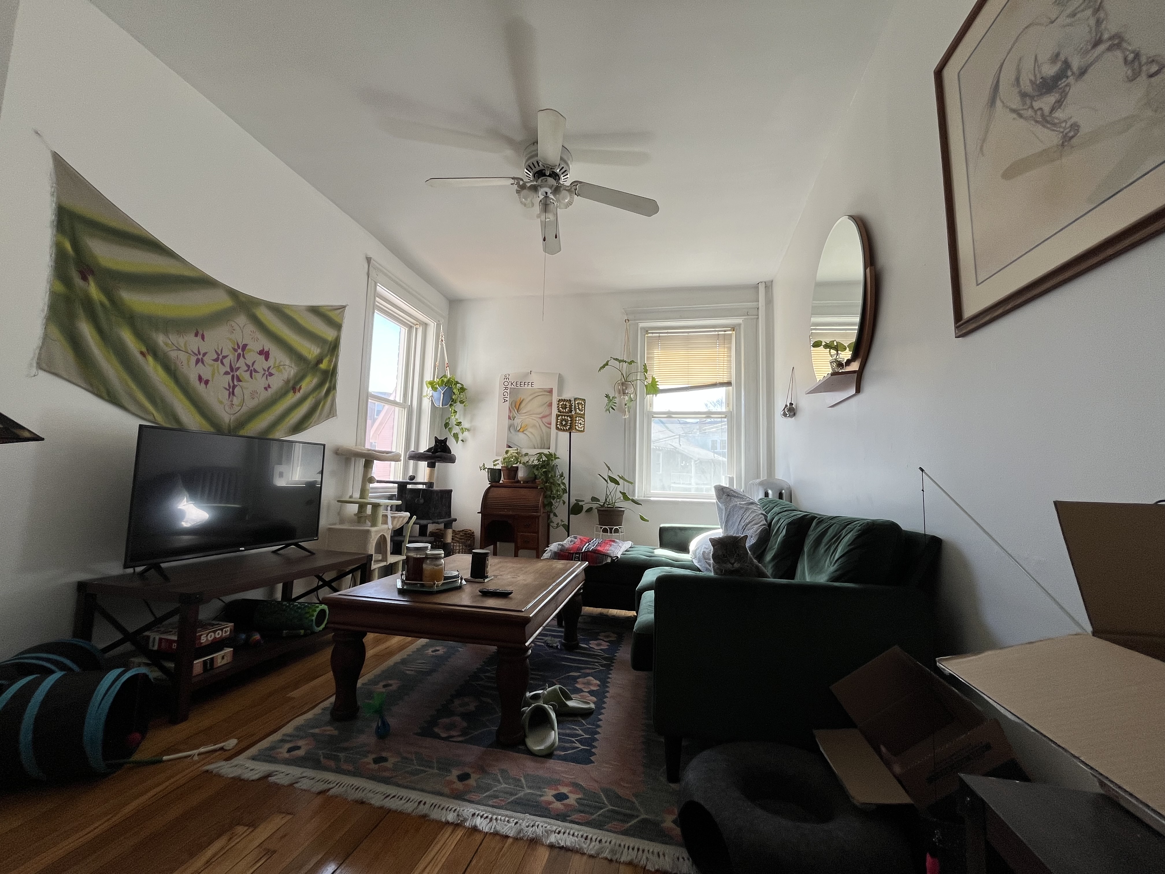 4 Price Rd, Brighton