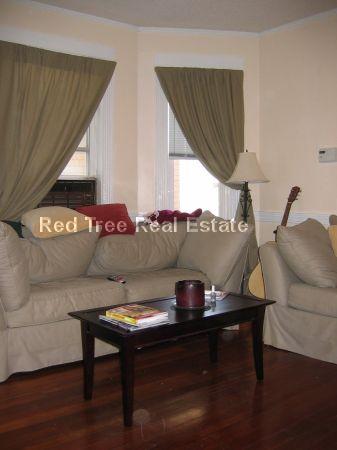 49 Montfern Ave, Brighton