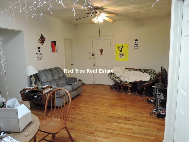 17 Cummings Rd, Brighton