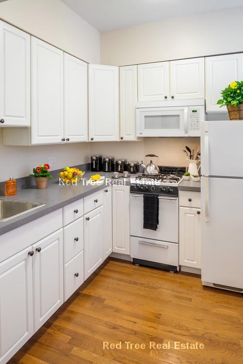 18 Haviland St, Fenway