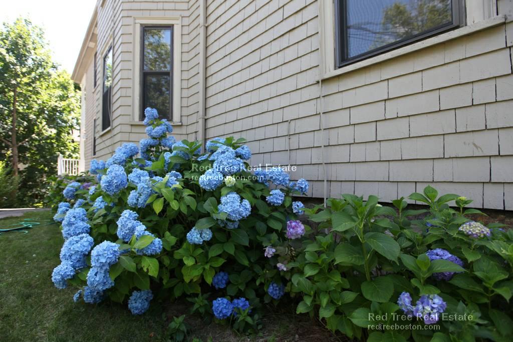 508 Heath St, Chestnut Hill