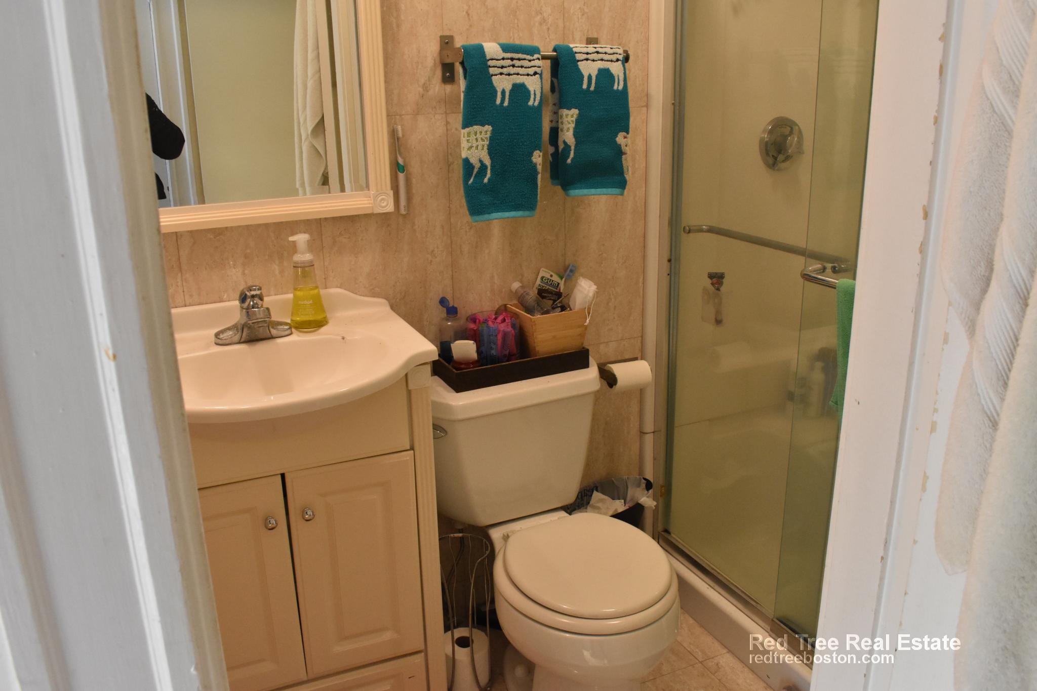 69 Babcock St, North Brookline