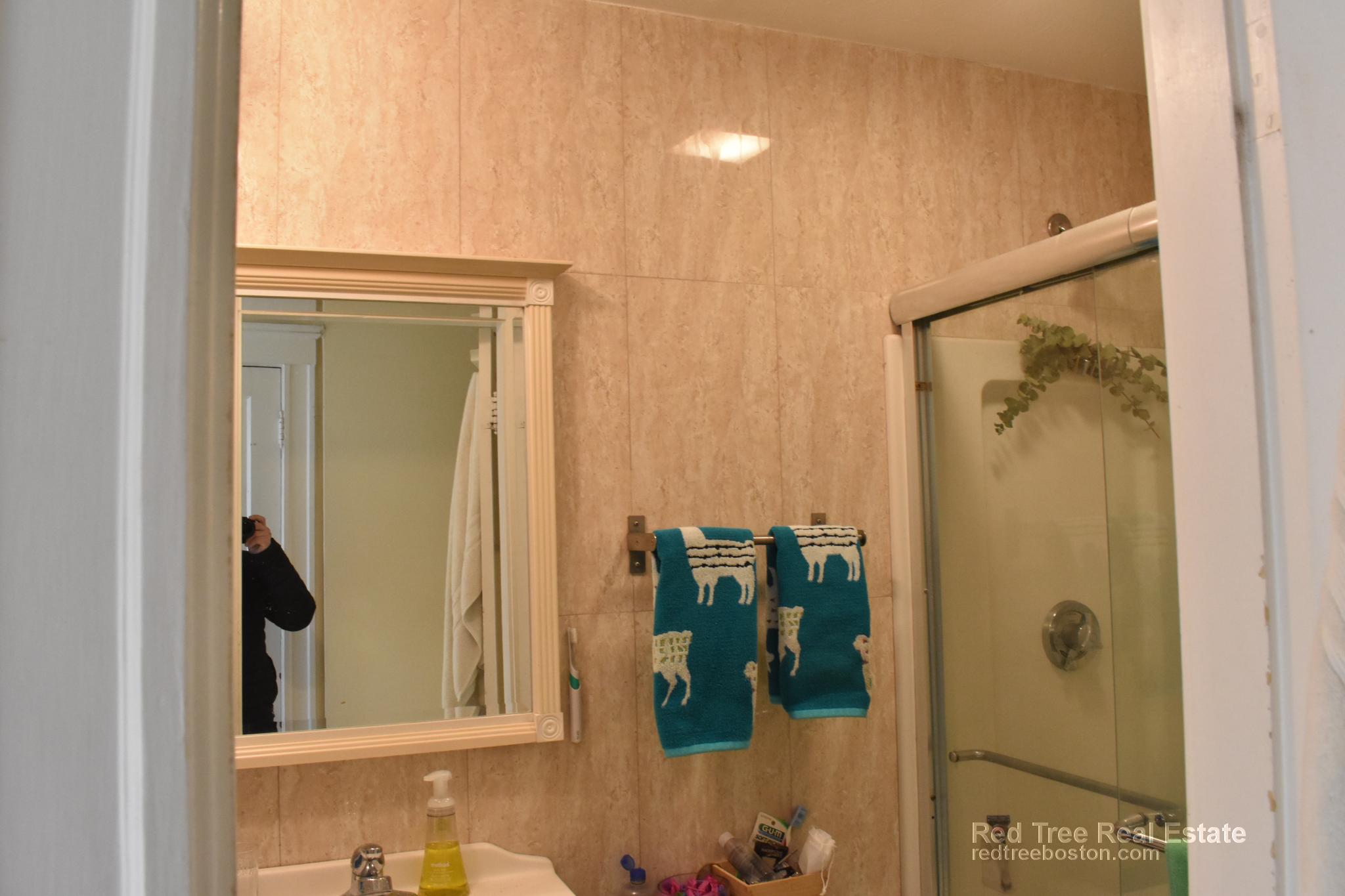 69 Babcock St, North Brookline