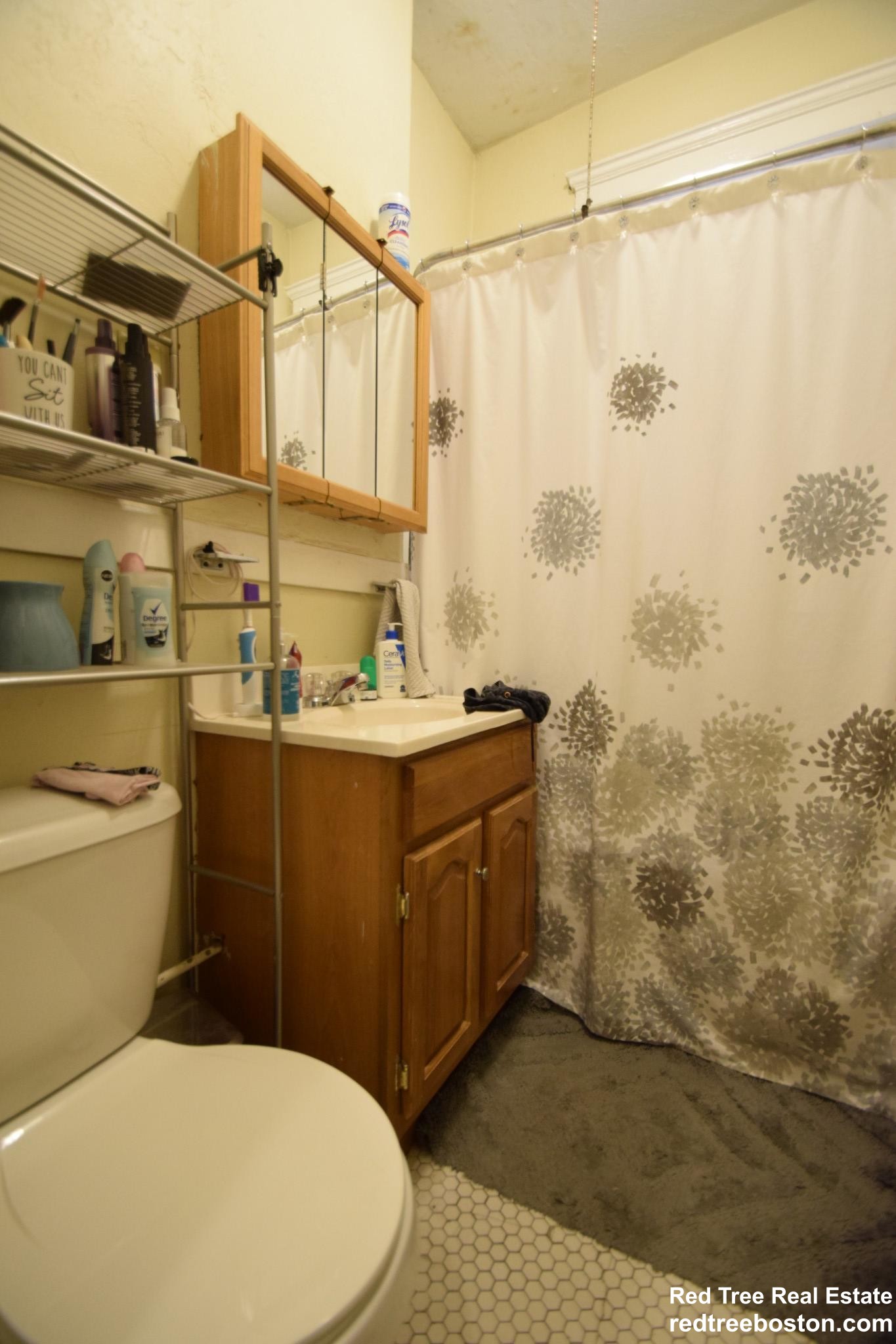 220 Kelton St, Brighton