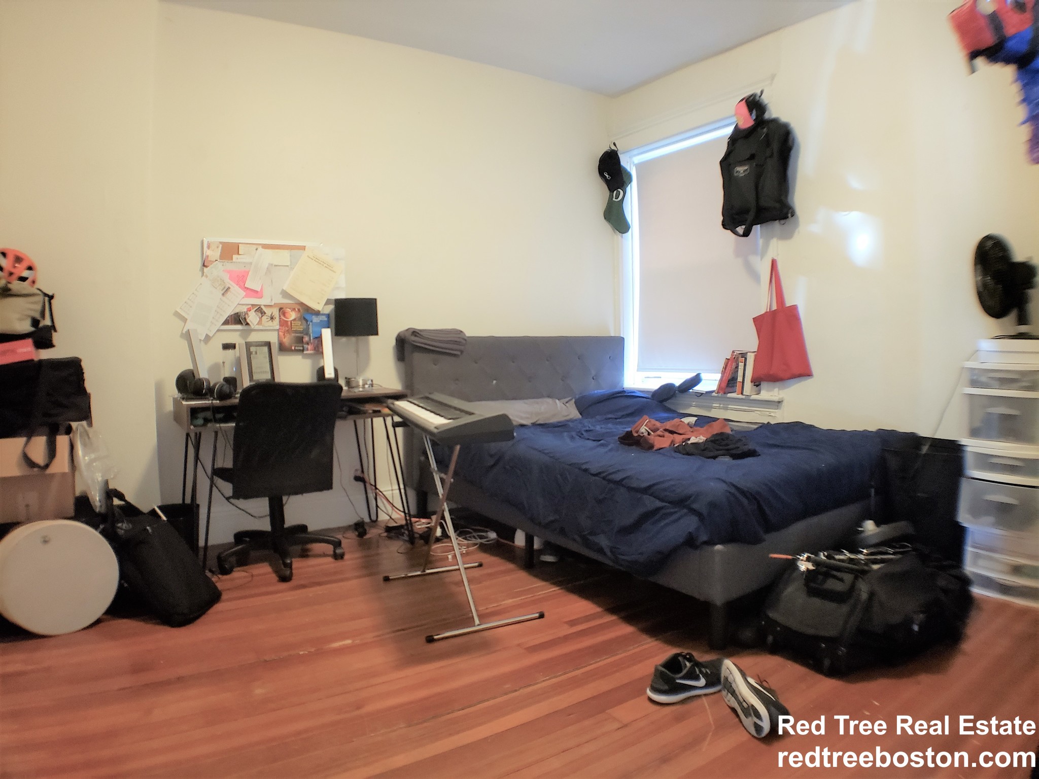 7 Mount Hood Rd, Brighton