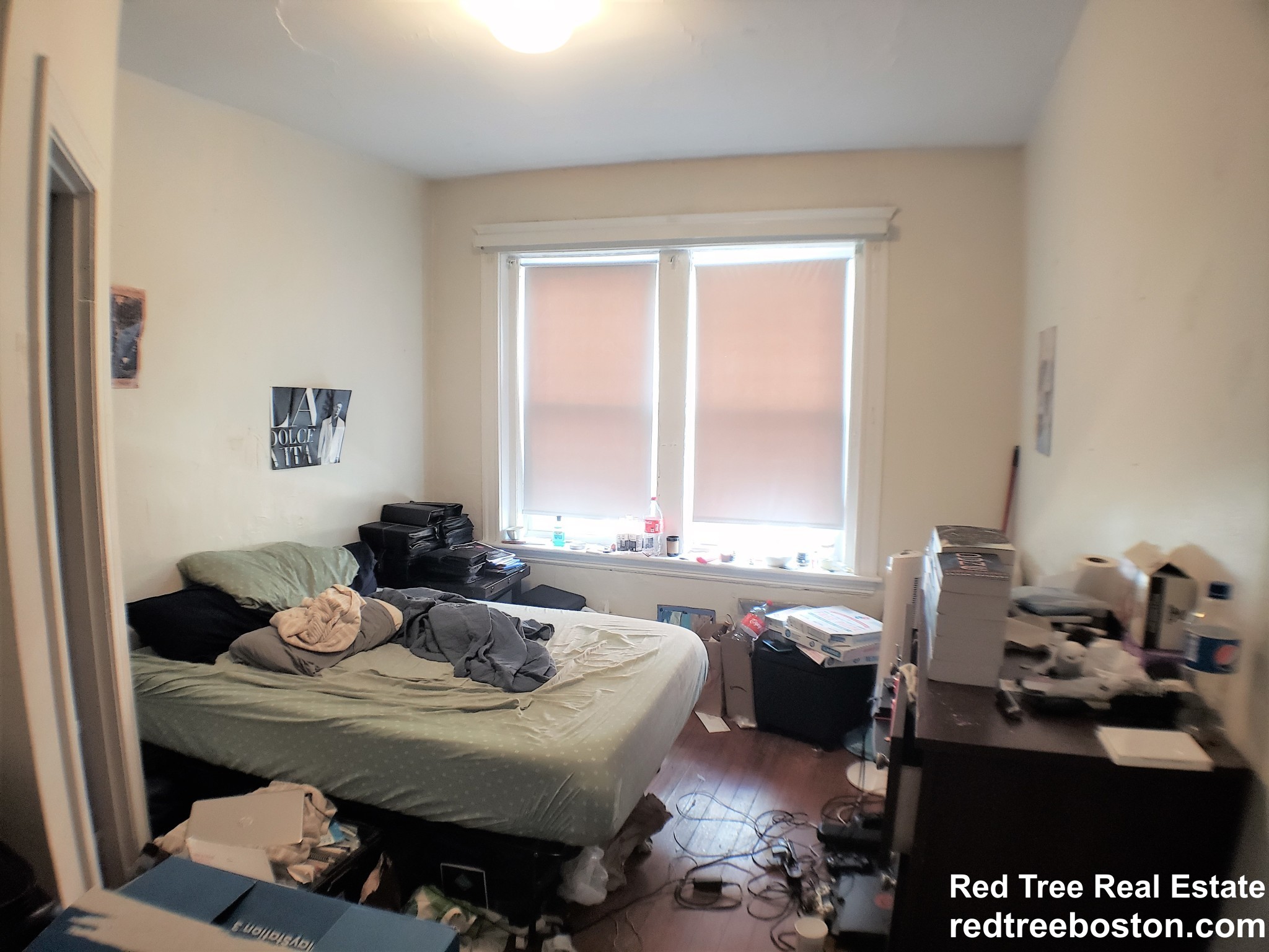 7 Mount Hood Rd, Brighton