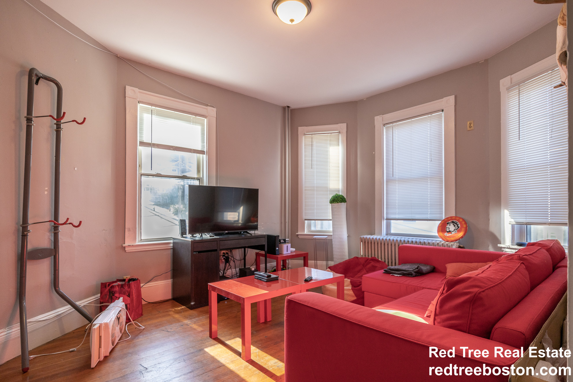 6 Sunset St, Mission Hill