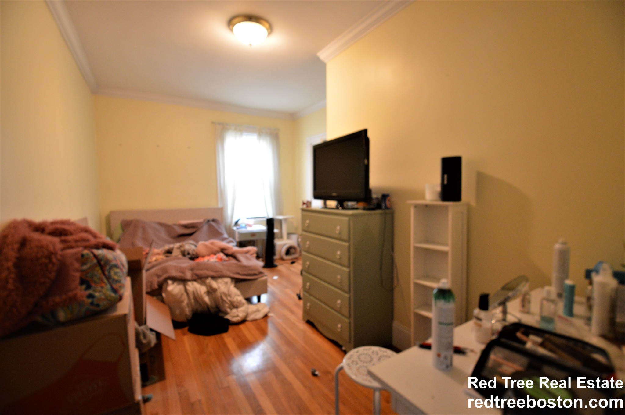 57 Riverdale St, Lower Allston