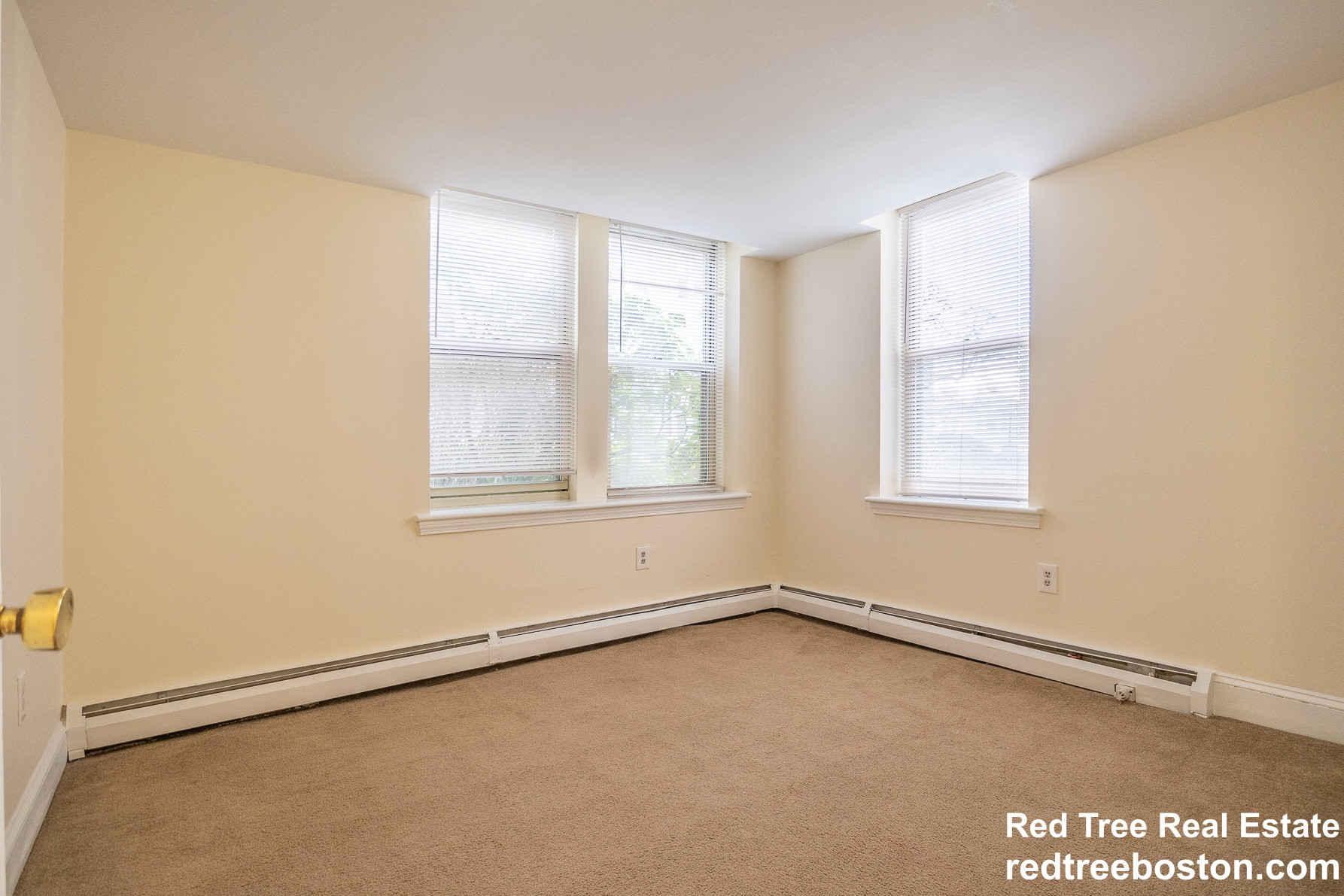 20 Colborne Rd, Brighton