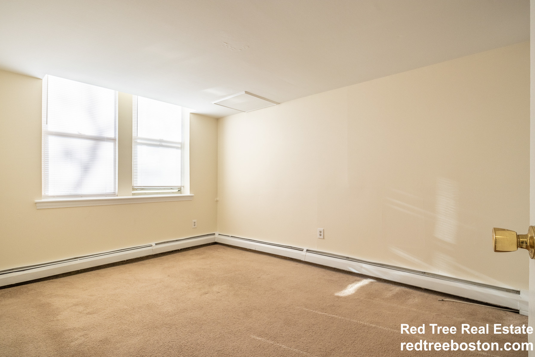 20 Colborne Rd, Brighton