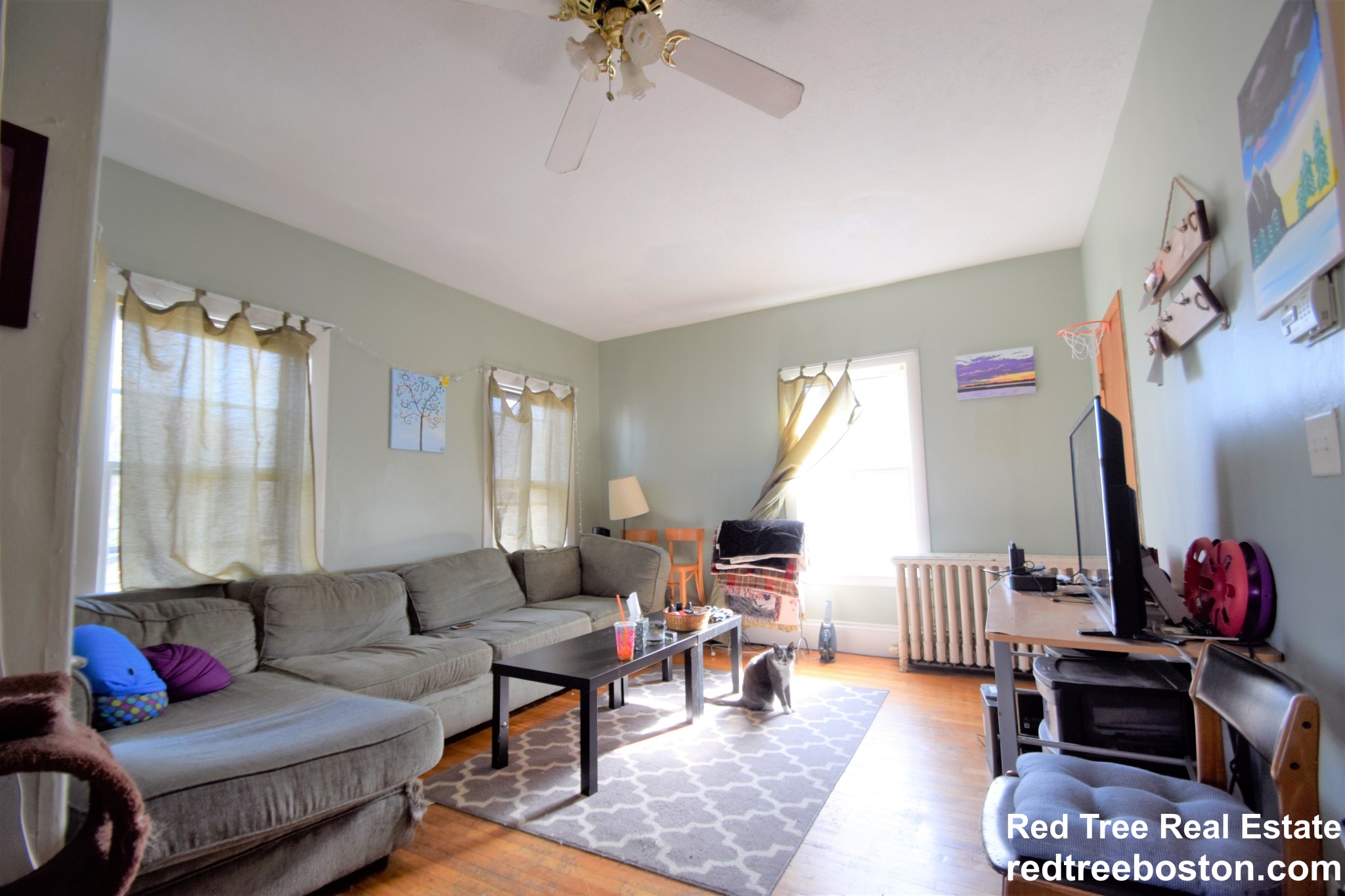 3 Foster St, Brighton