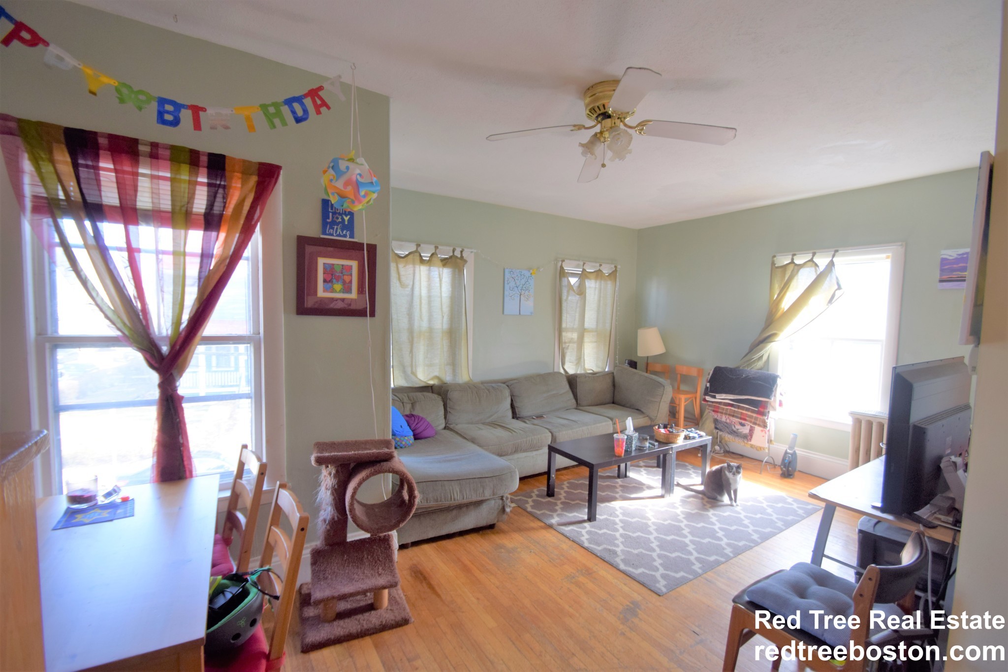 3 Foster St, Brighton