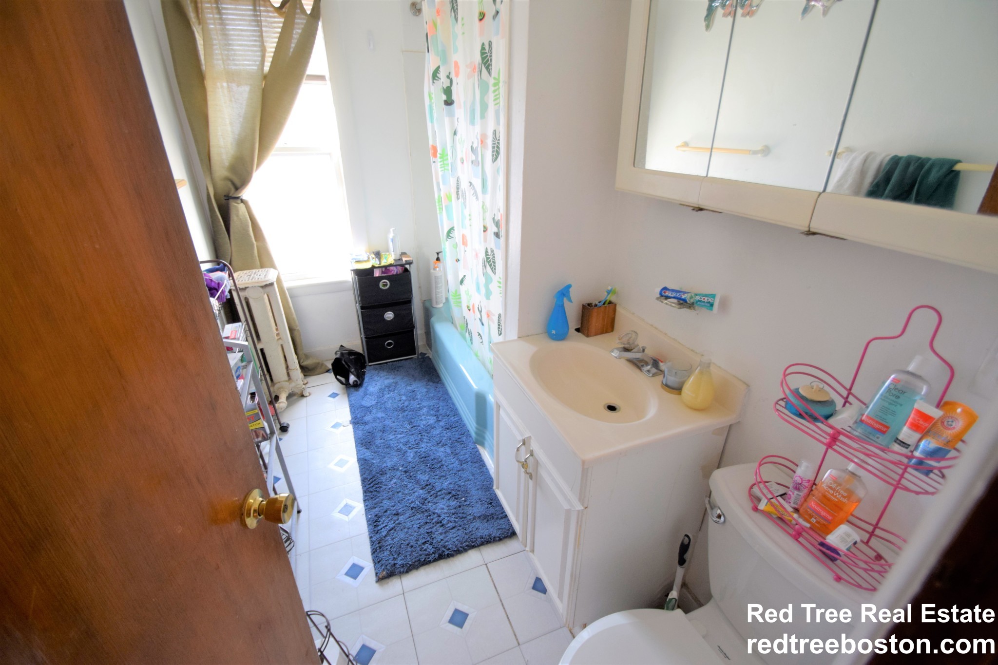 3 Foster St, Brighton