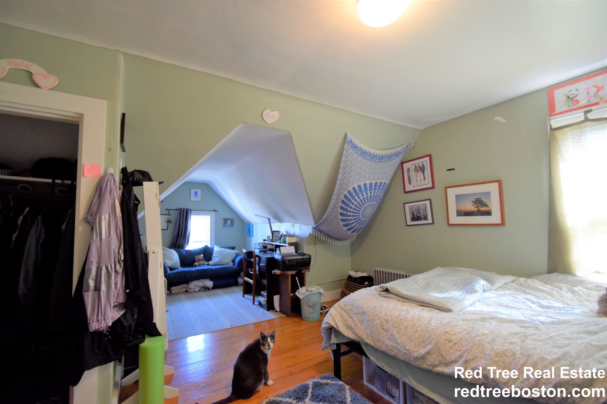 3 Foster St, Brighton