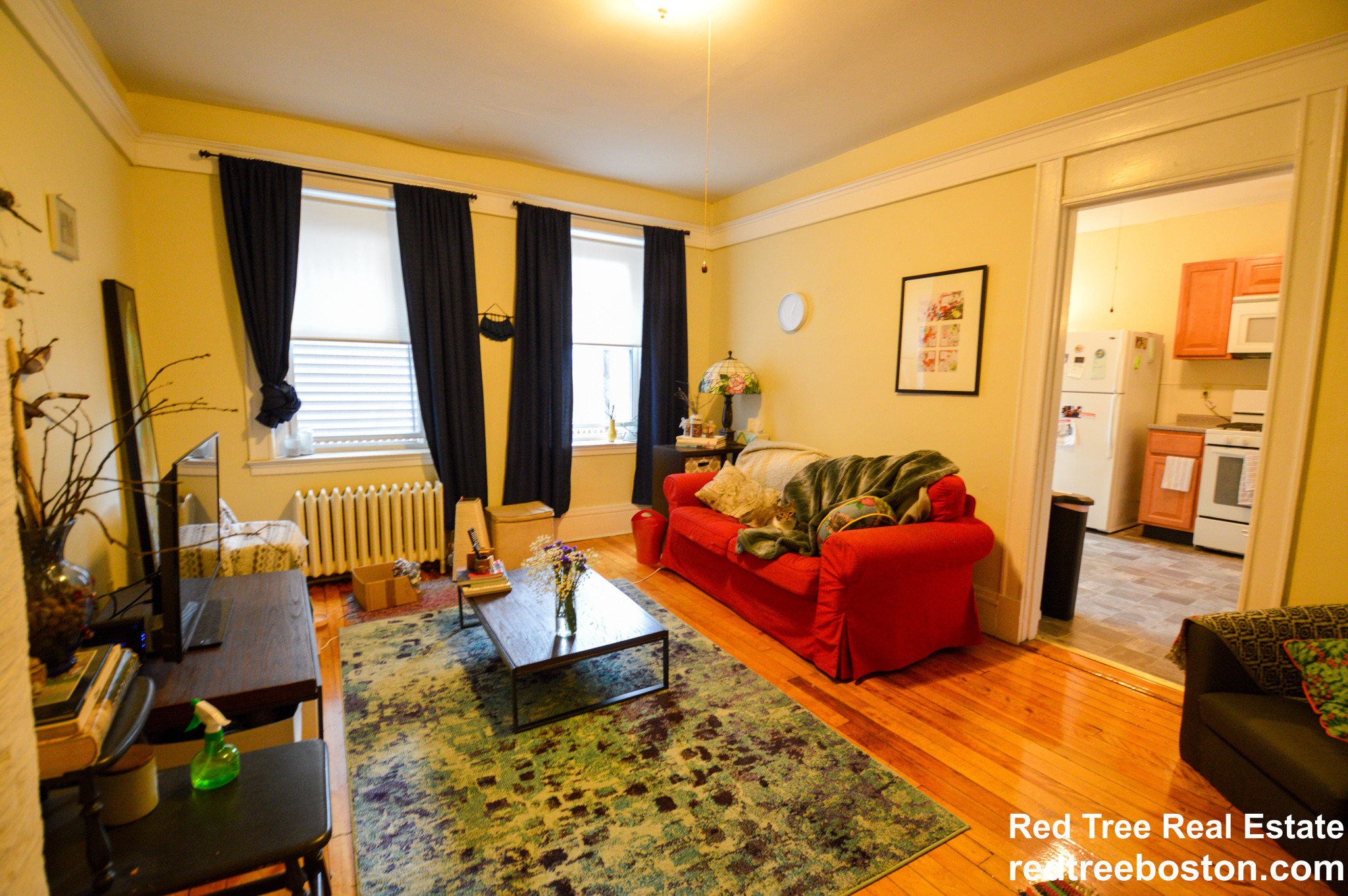 218 South St, Jamaica Plain