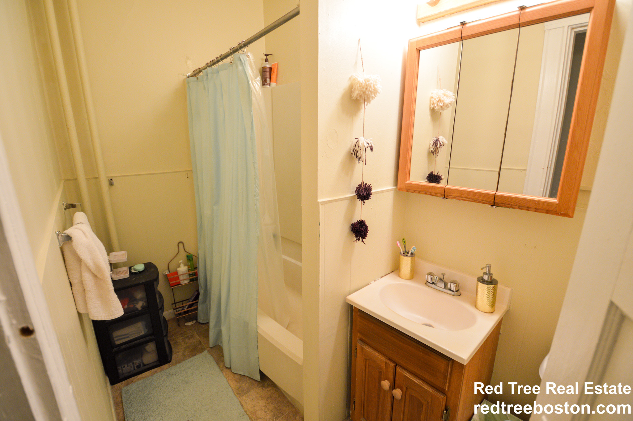 218 South St, Jamaica Plain