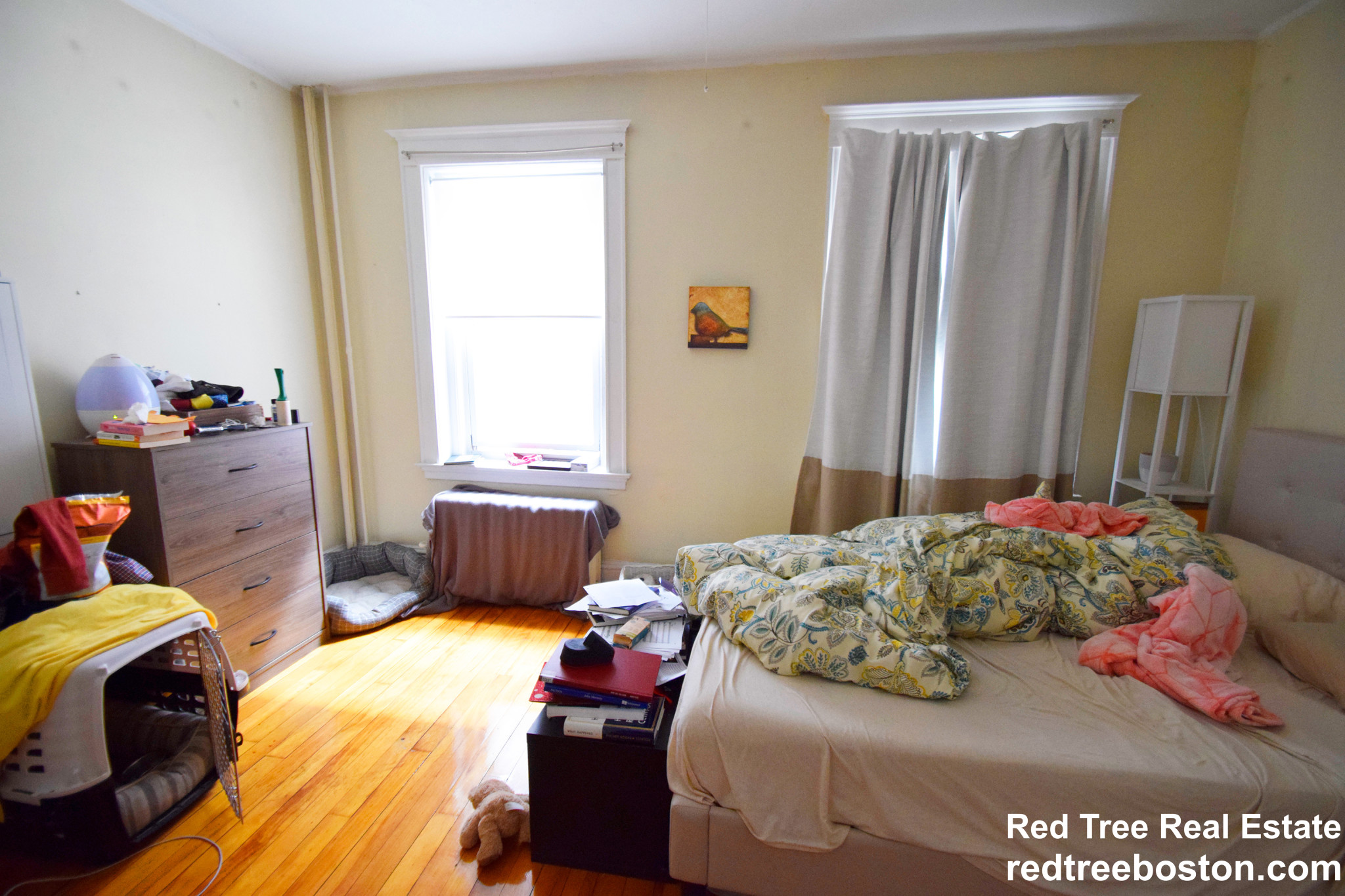 220 South St, Jamaica Plain