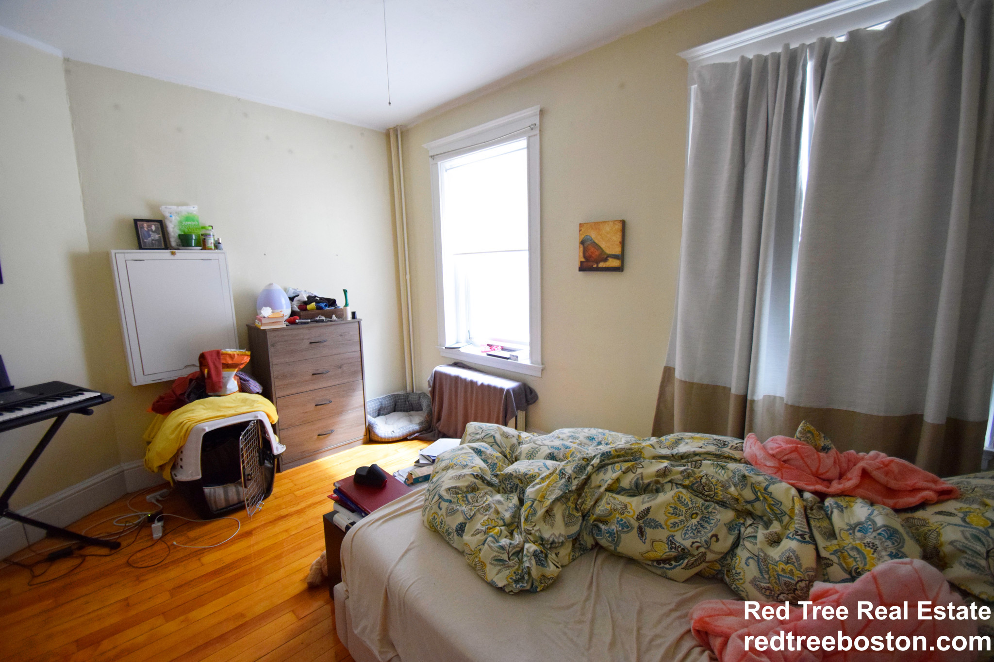 220 South St, Jamaica Plain