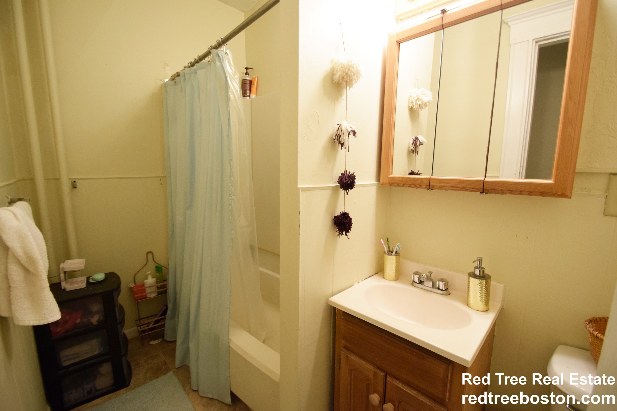 218 South St, Jamaica Plain