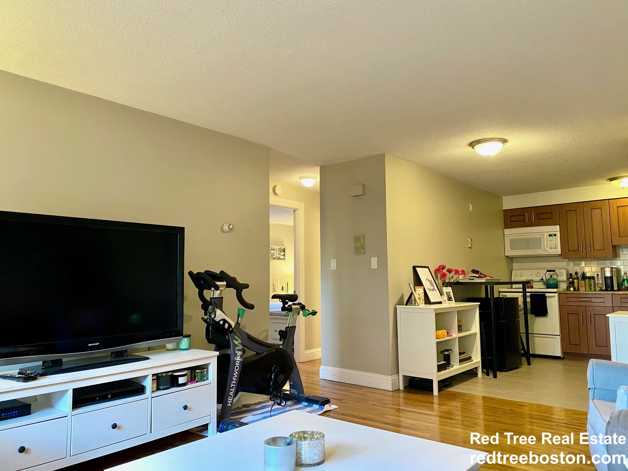 290 Corey Rd, Brighton