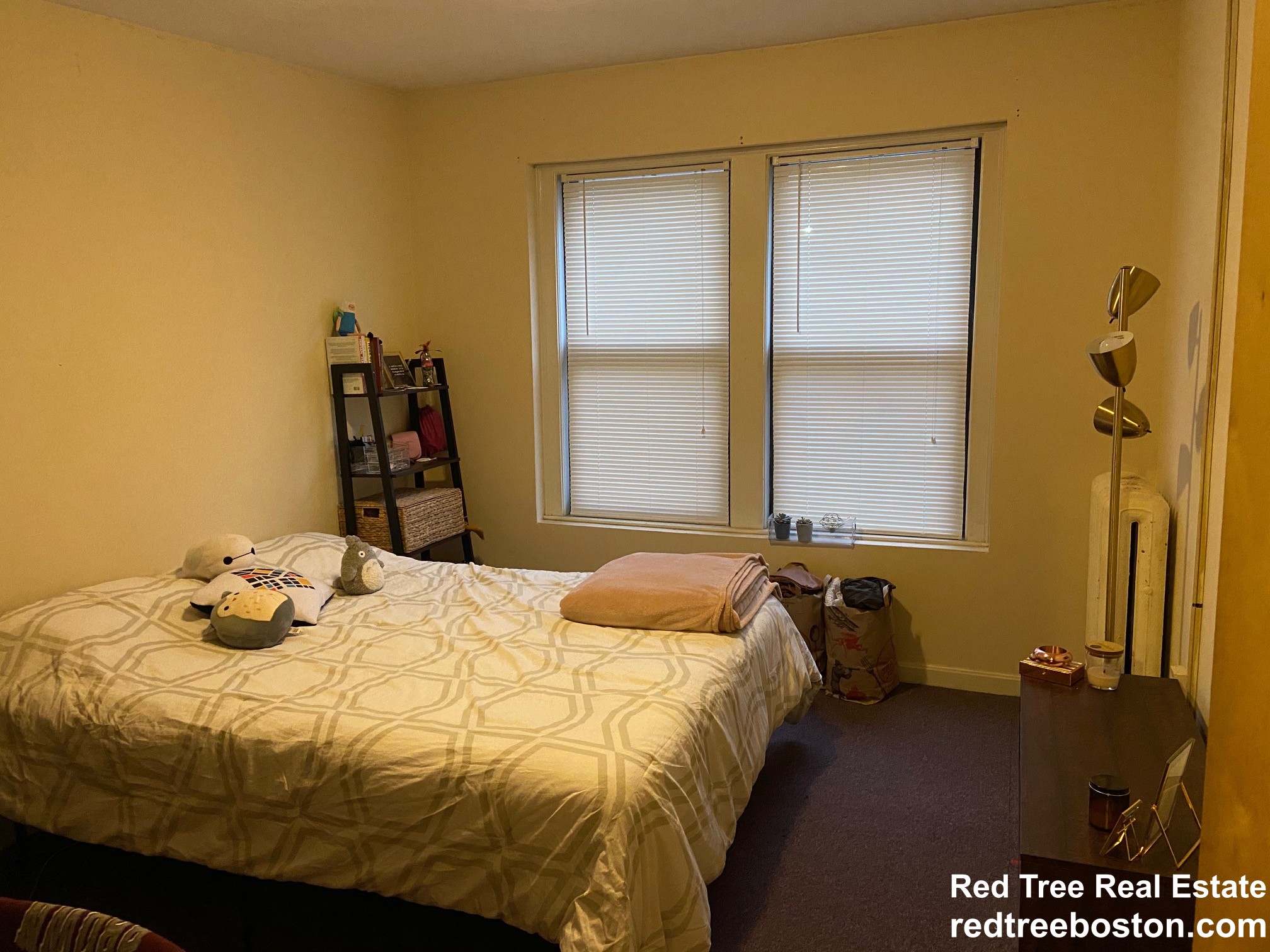 19 Peterborough St, Fenway