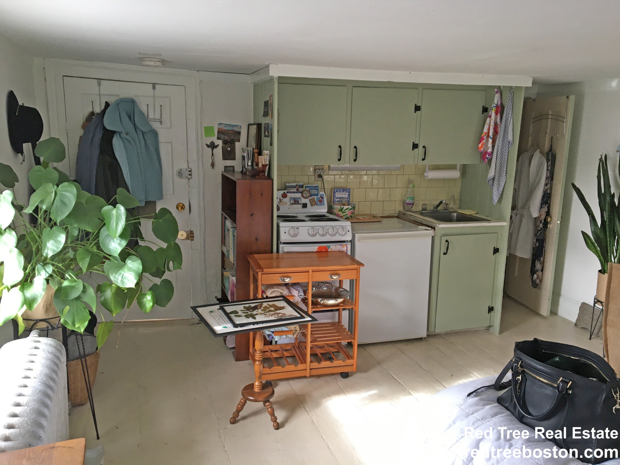 58 Anderson St, Beacon Hill