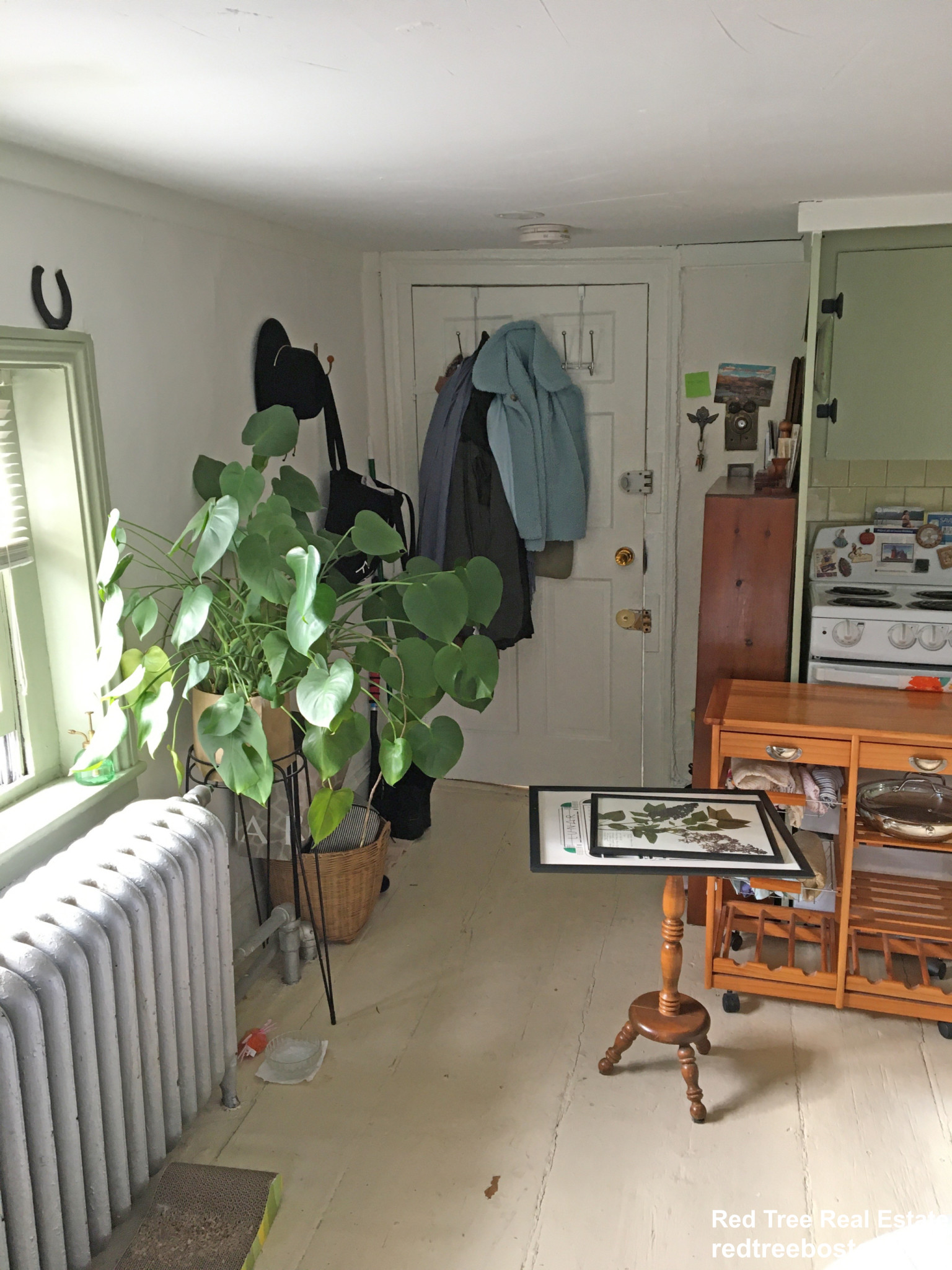 58 Anderson St, Beacon Hill