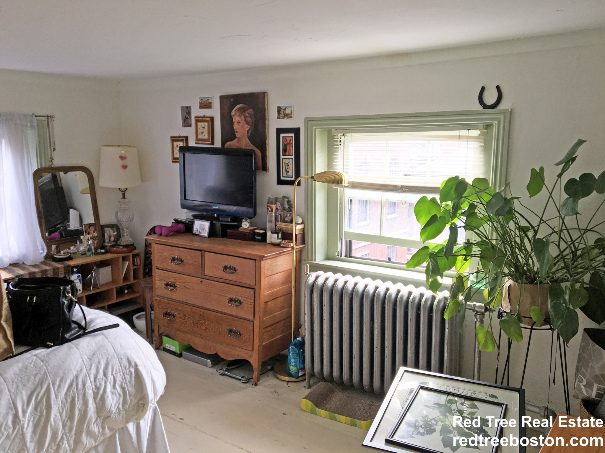 58 Anderson St, Beacon Hill