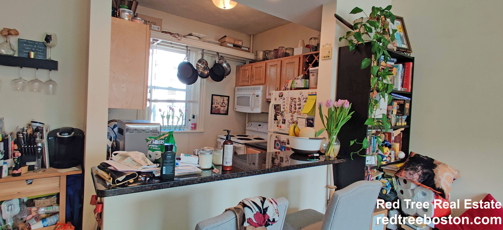 105 Queensberry St, Fenway