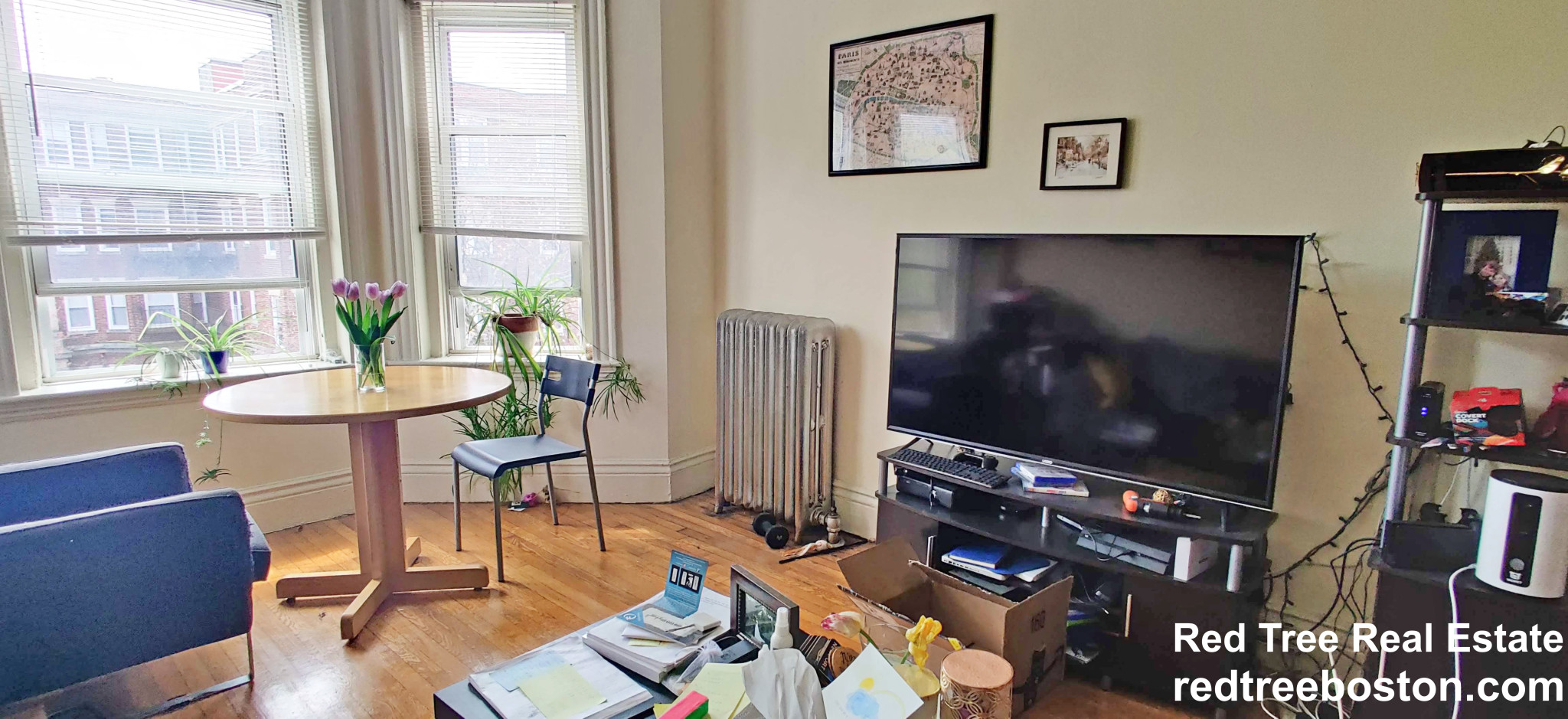 105 Queensberry St, Fenway