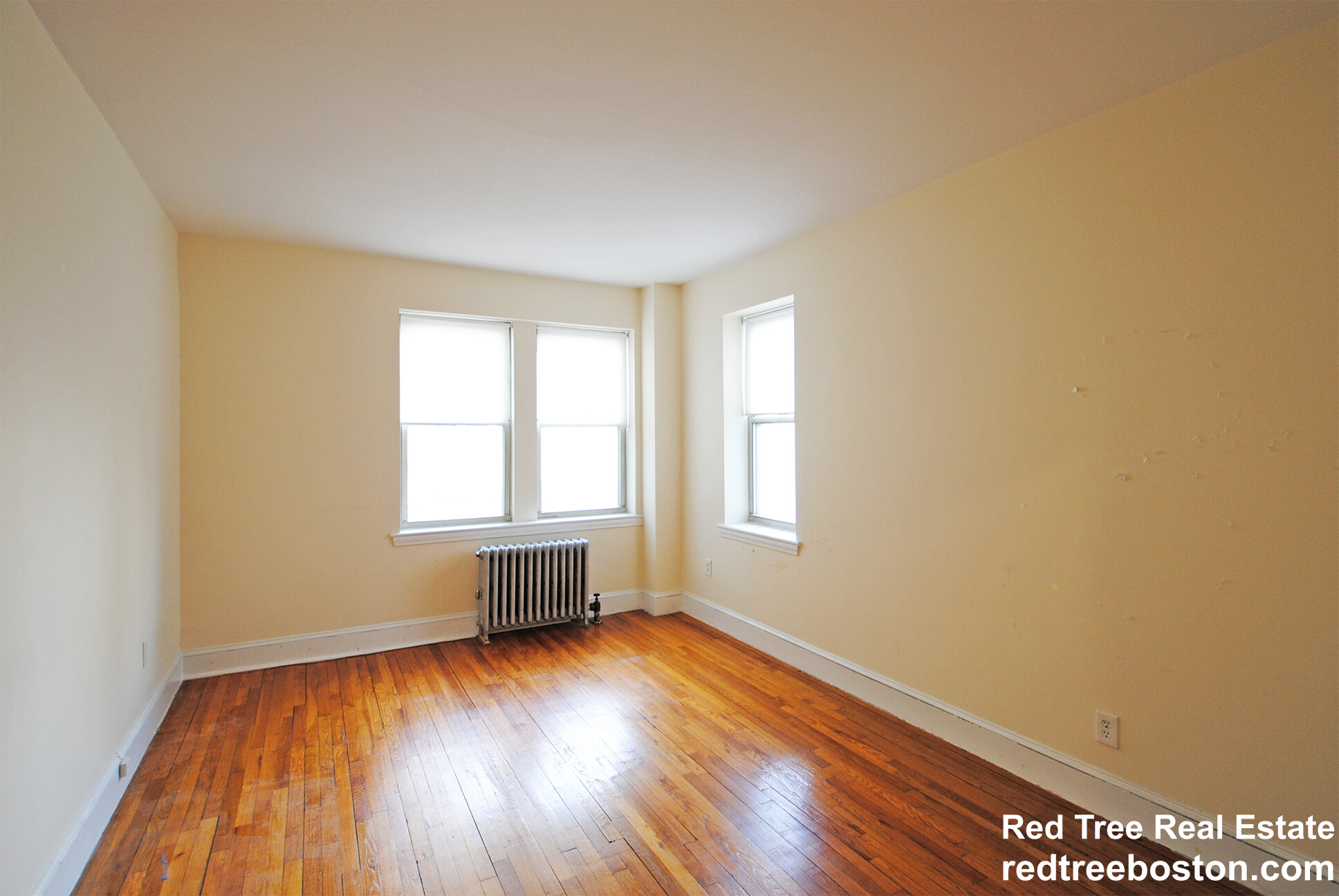 20 Colborne Rd, Brighton