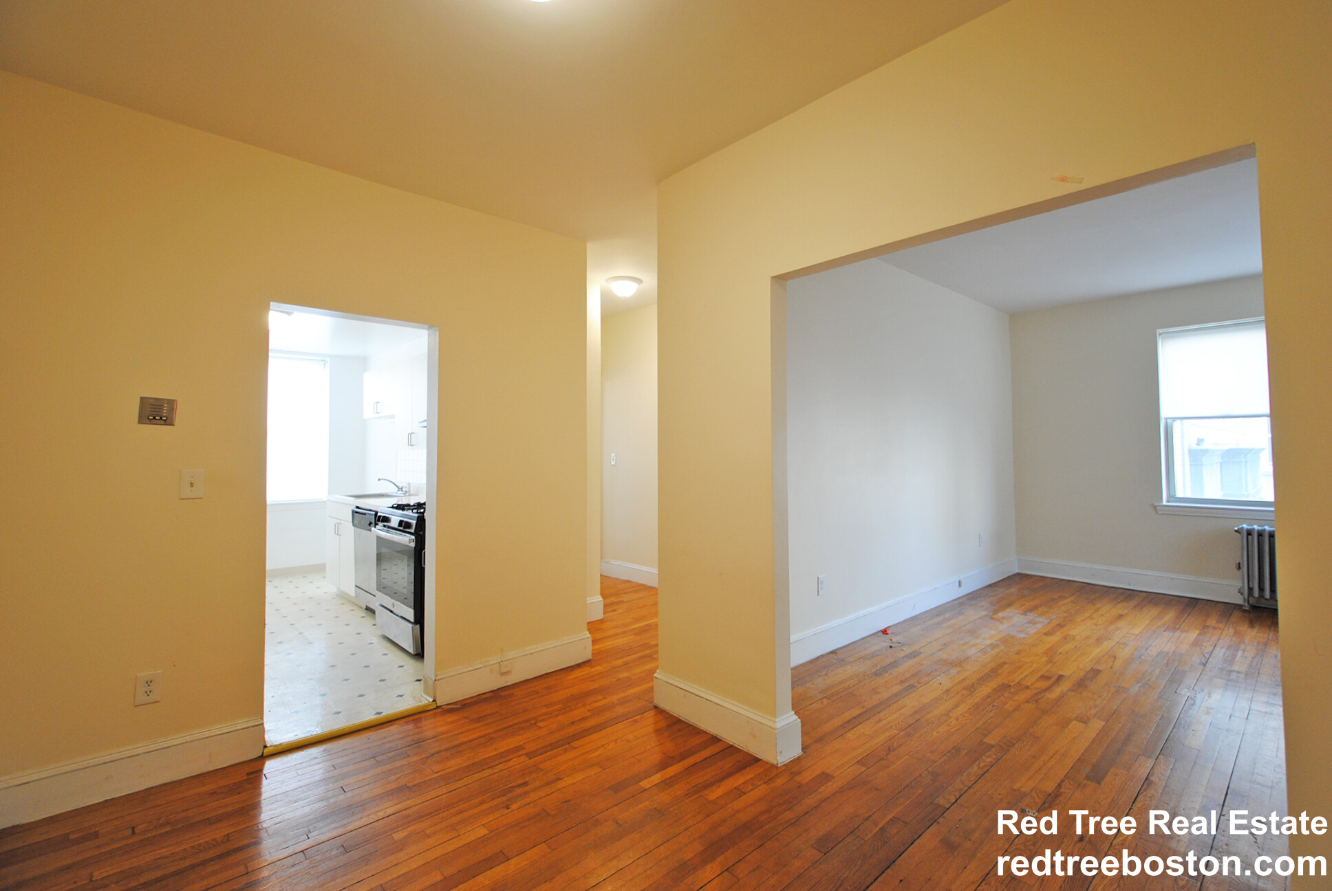 20 Colborne Rd, Brighton