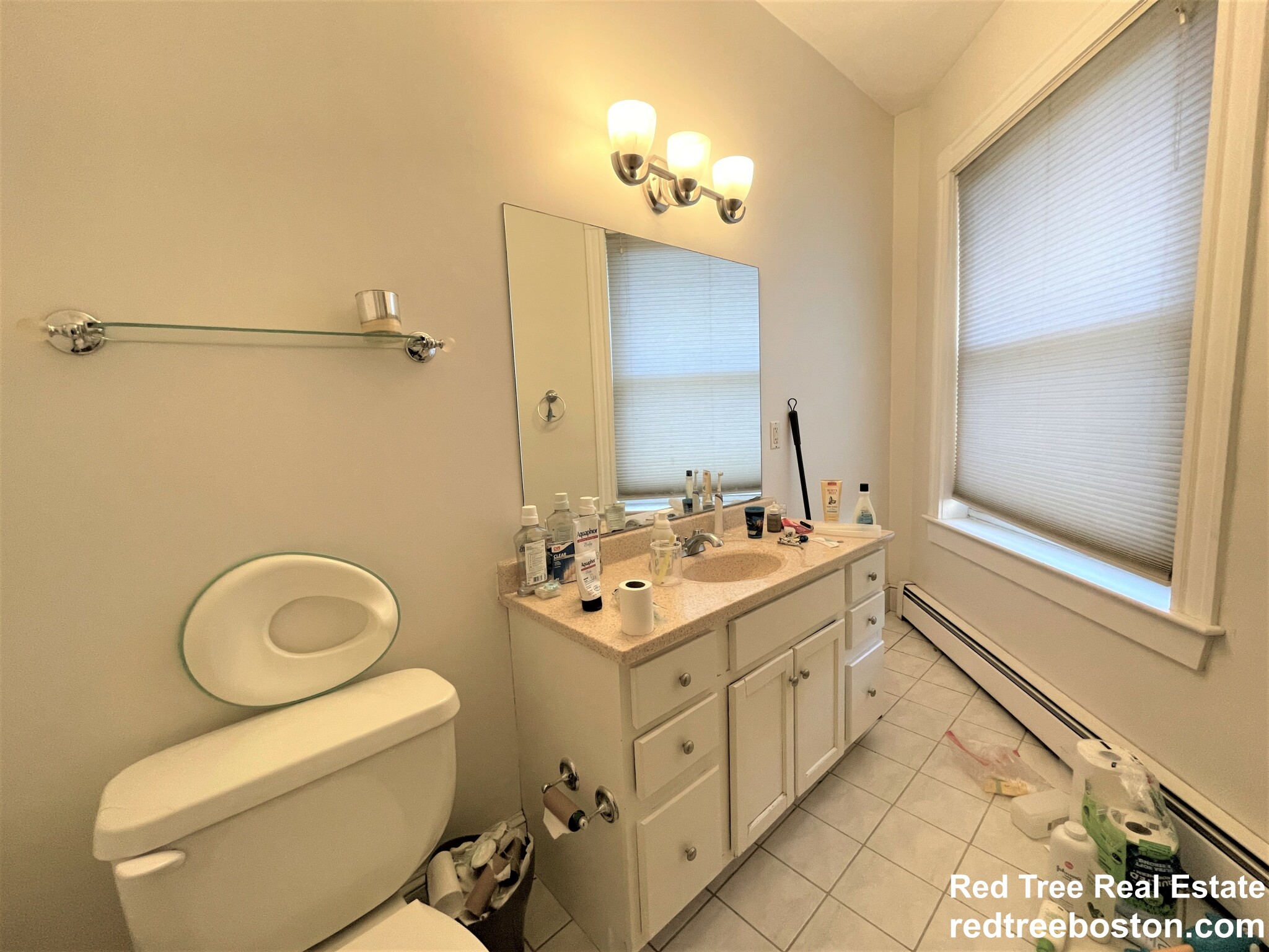 17 Regent Circle, Brookline