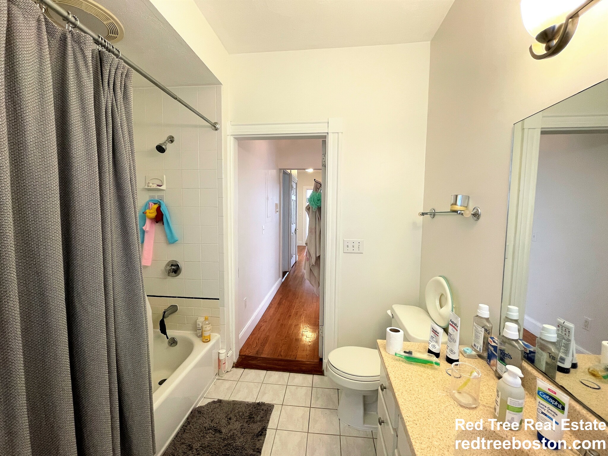 17 Regent Circle, Brookline