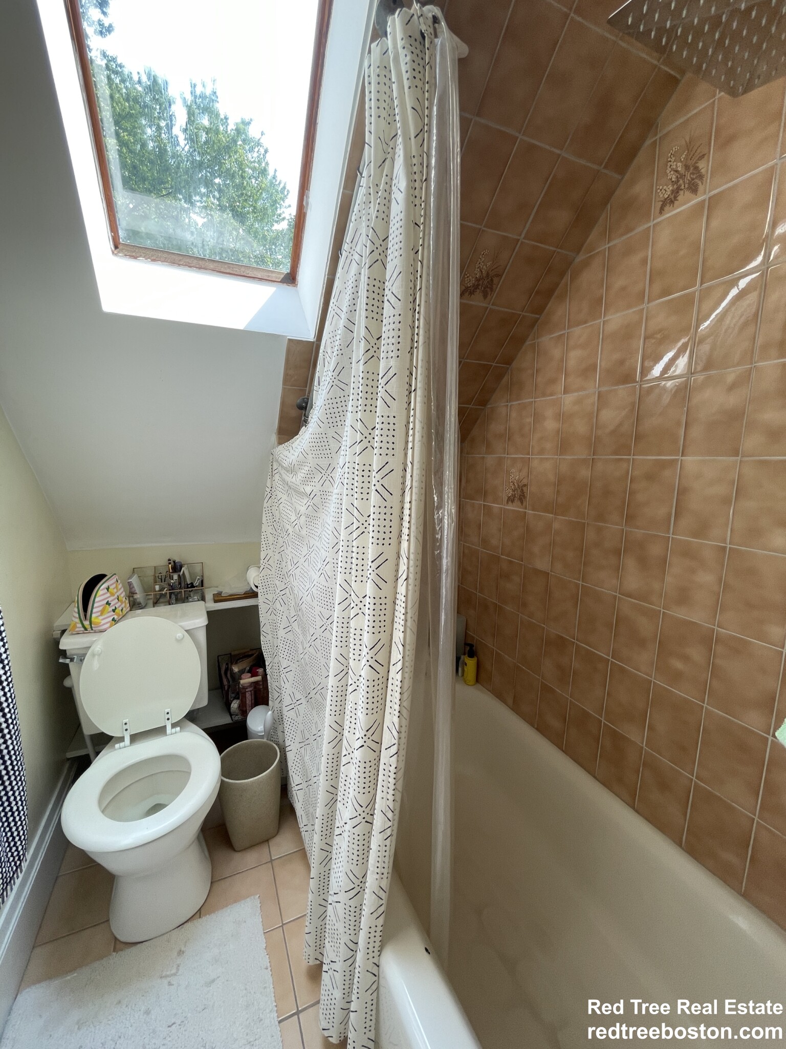 37 Beals St, Coolidge Corner