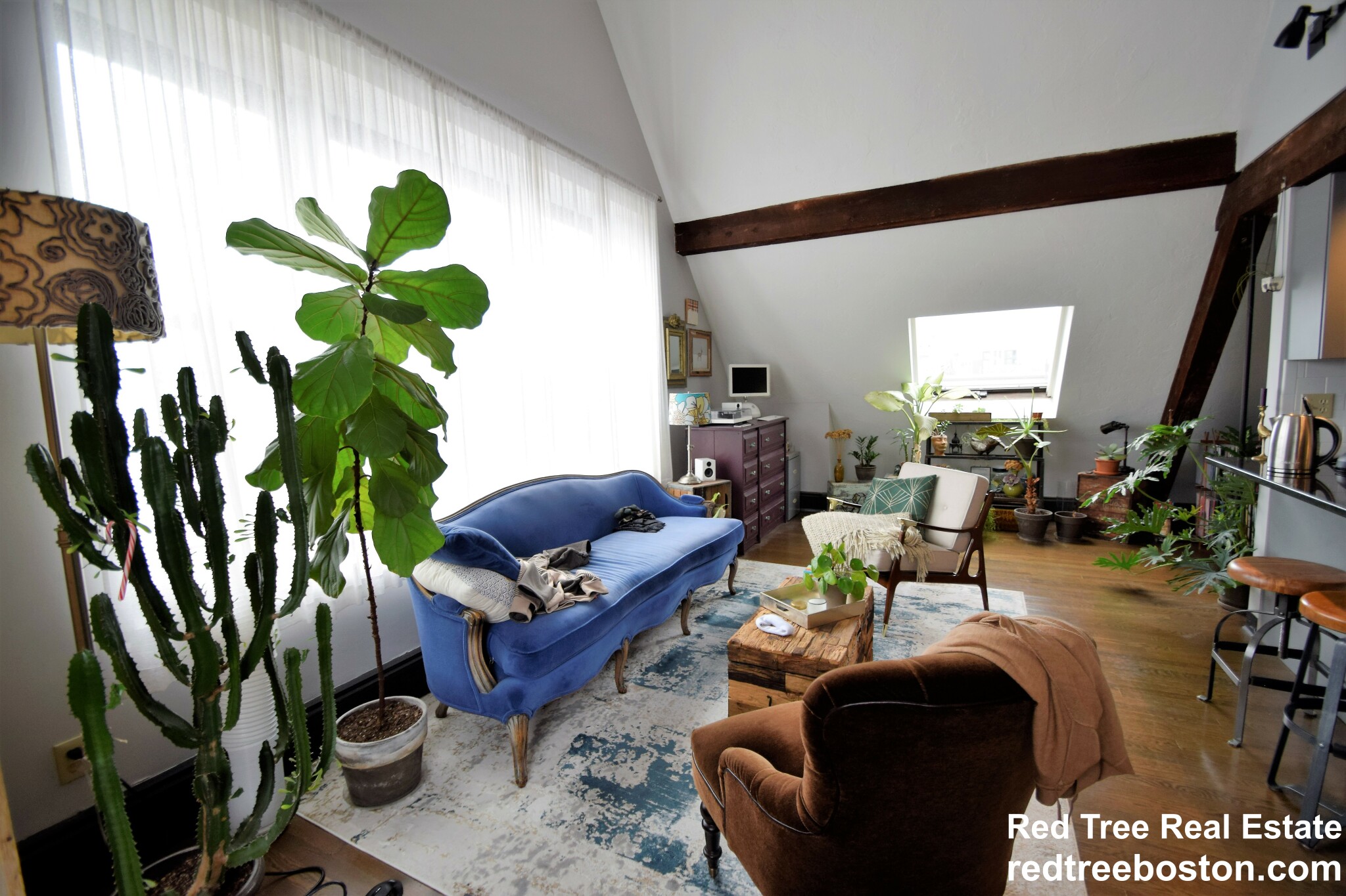 444 Western Ave, Lower Allston