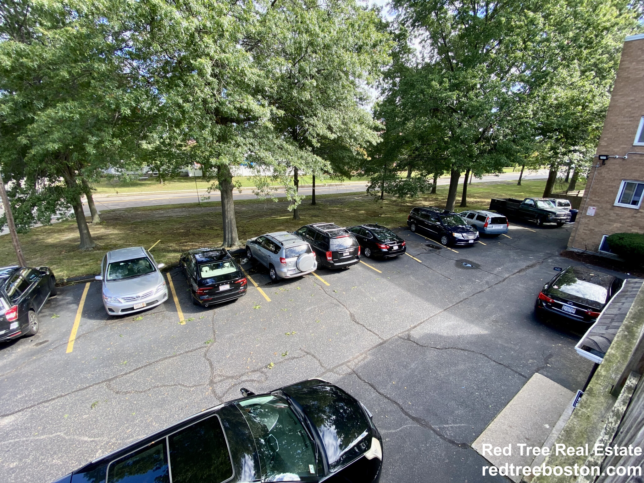 6 Waterloo St, Hyde Park