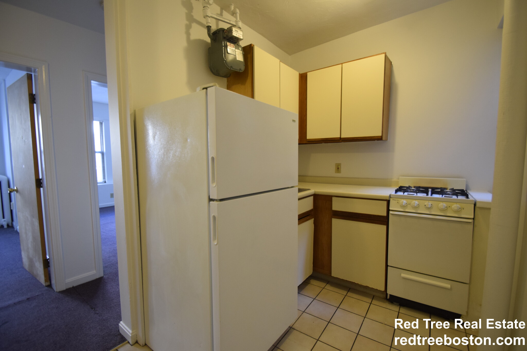 19 Peterborough St, Fenway