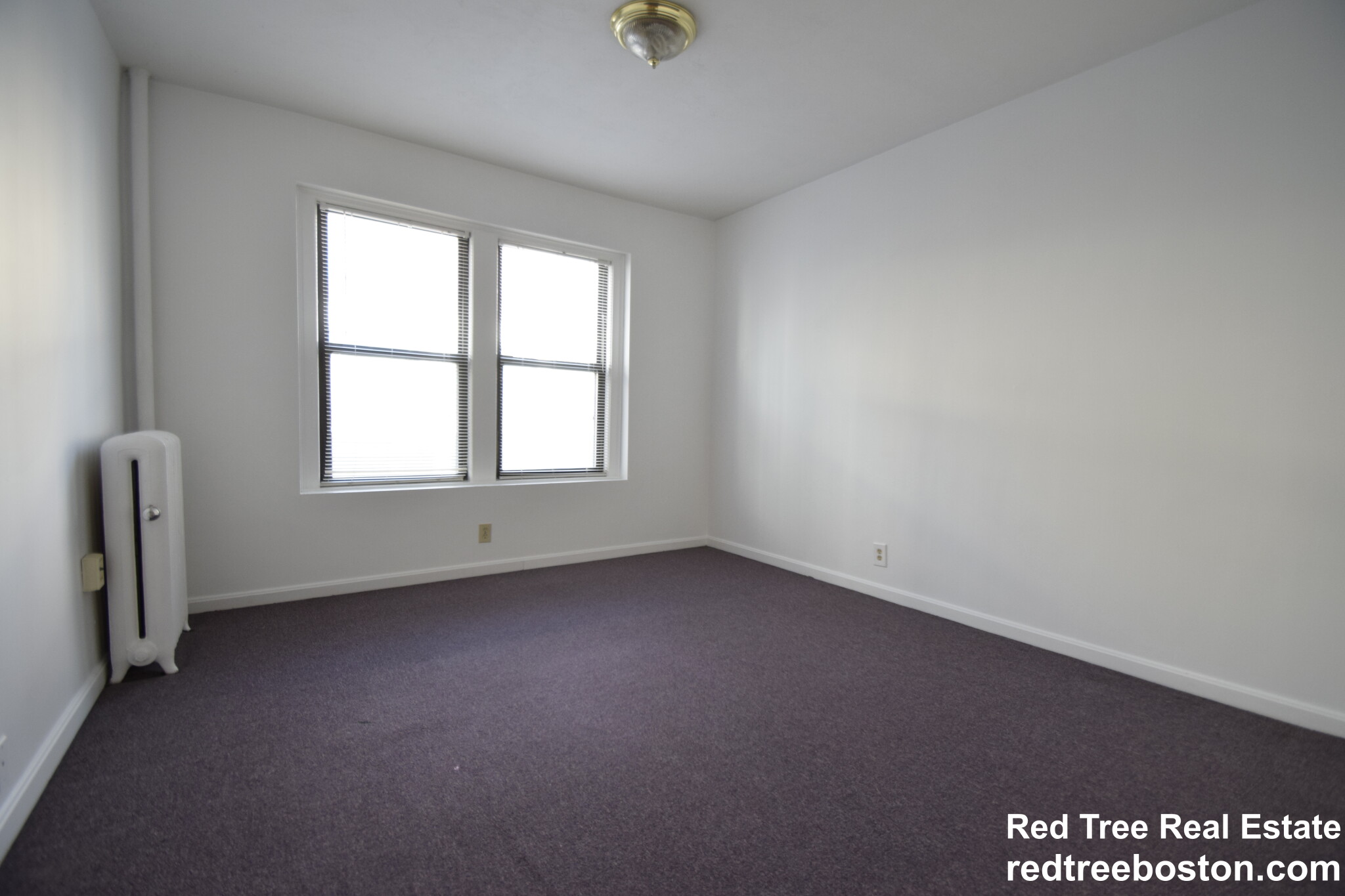 19 Peterborough St, Fenway