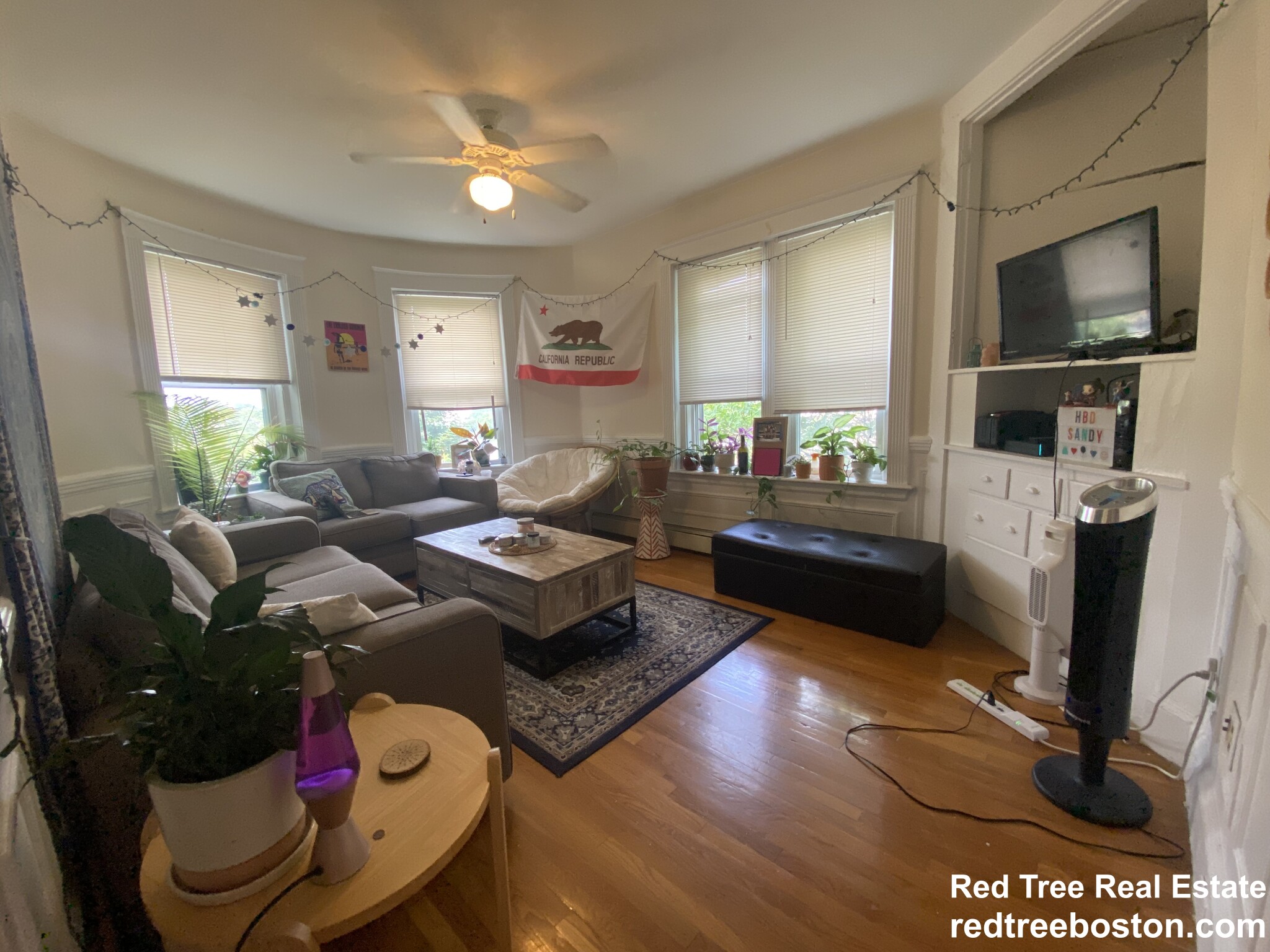 56 Cummings Rd, Brighton