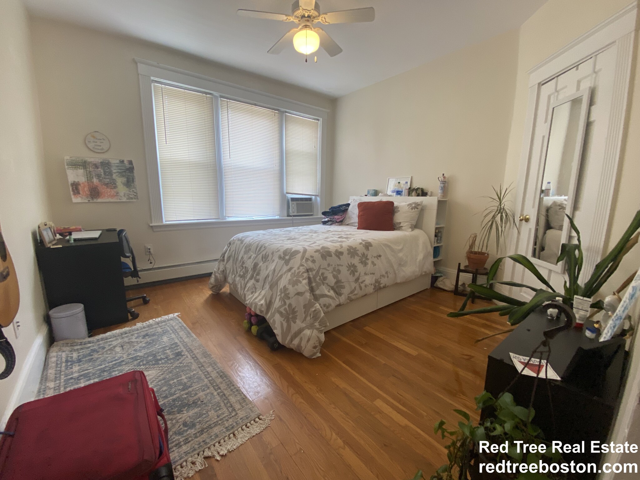 56 Cummings Rd, Brighton