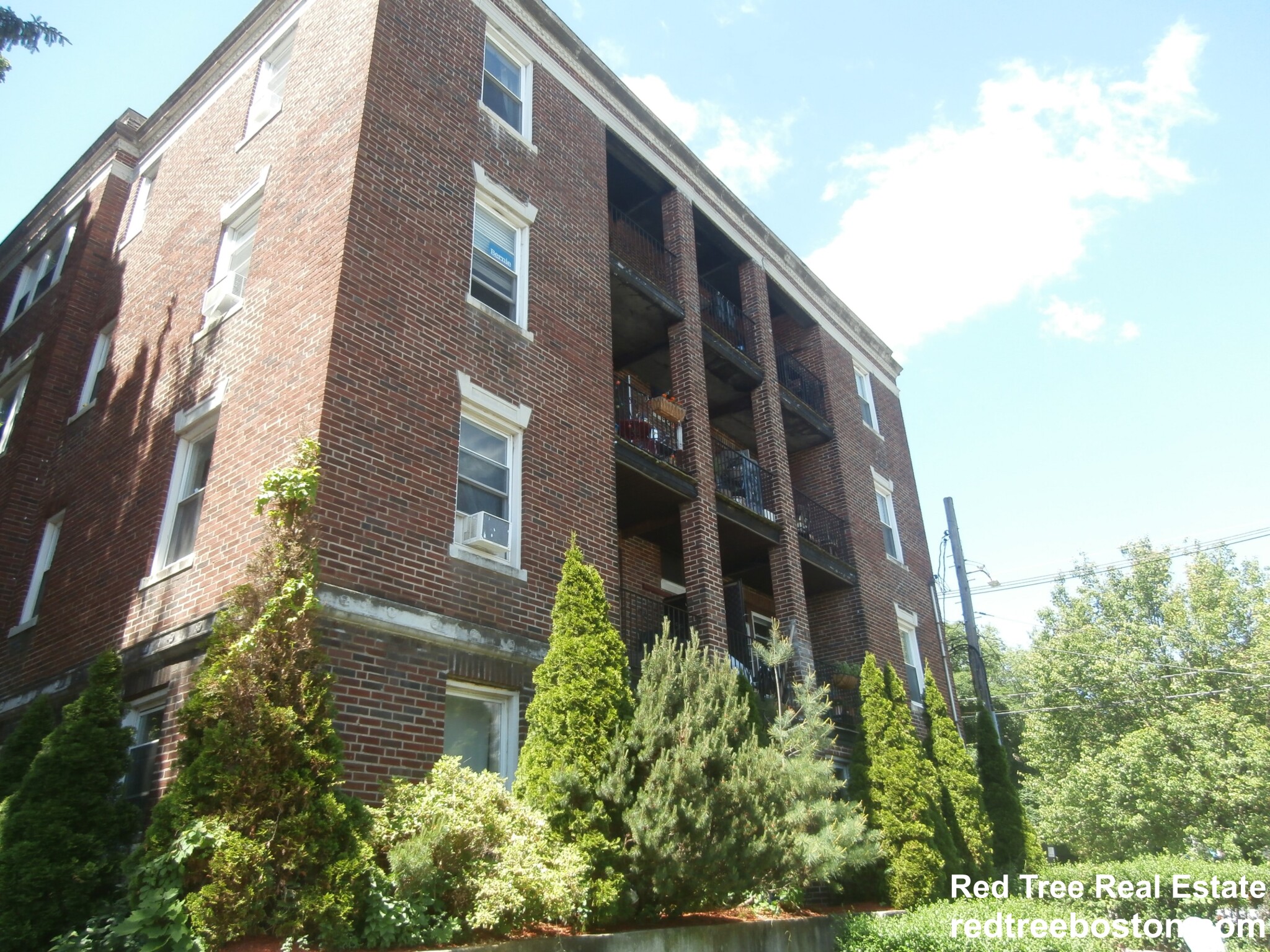 41 Chestnut Hill Ave, Brighton